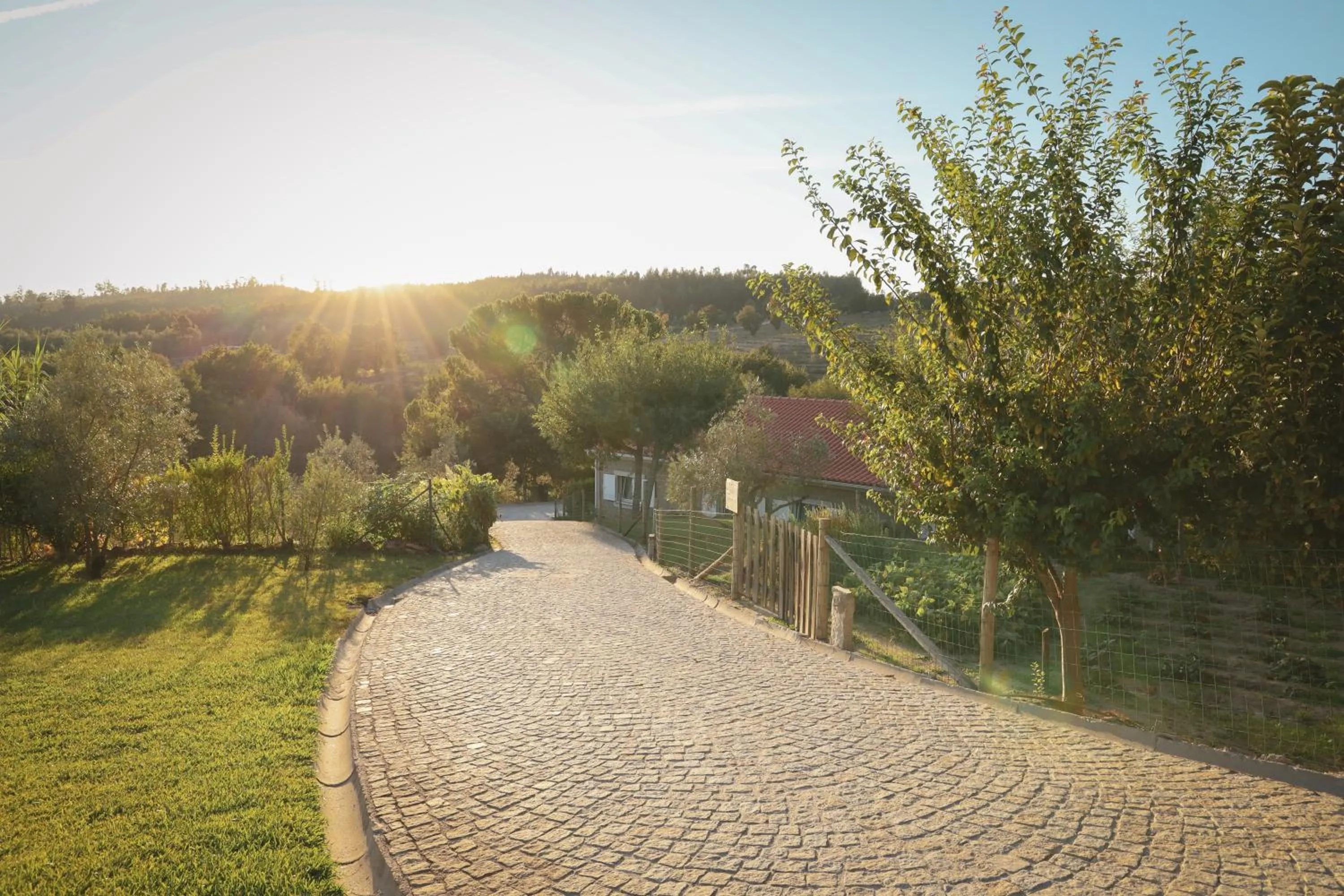 Natural landscape in I Love Dão Casas Da Fraga