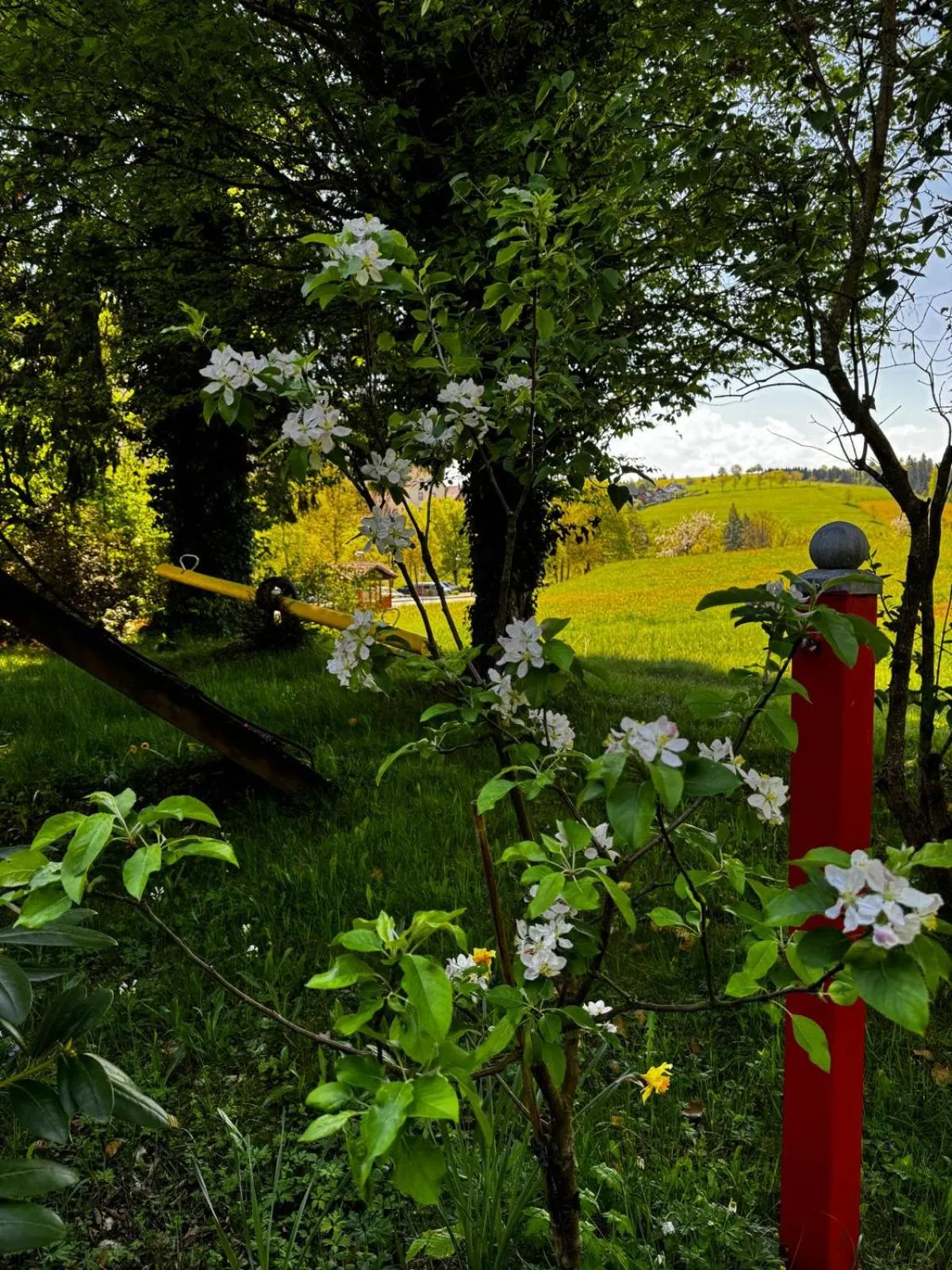 Spring in Hotel zum Kreuz