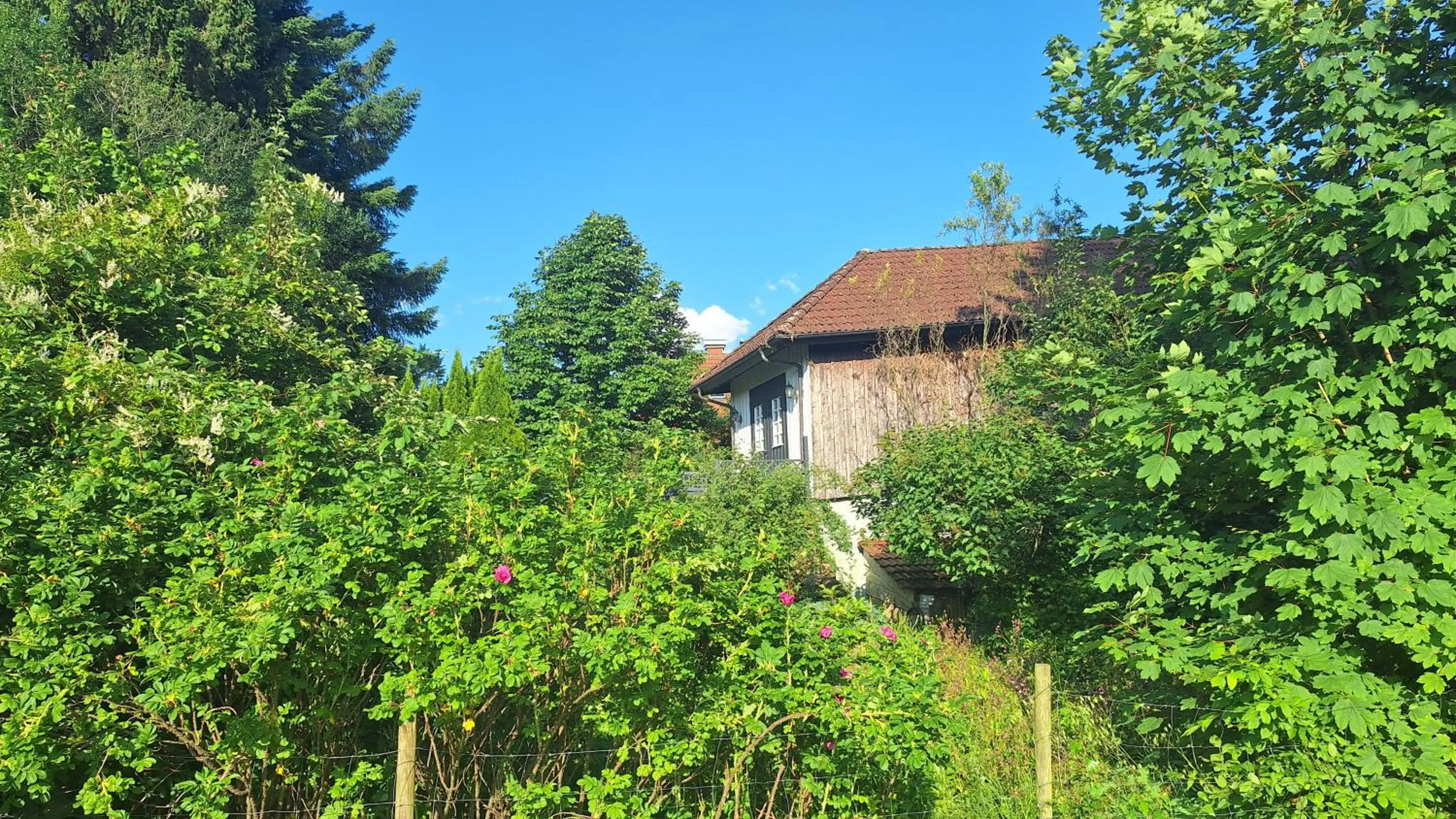 Garden view in Hotel zum Kreuz