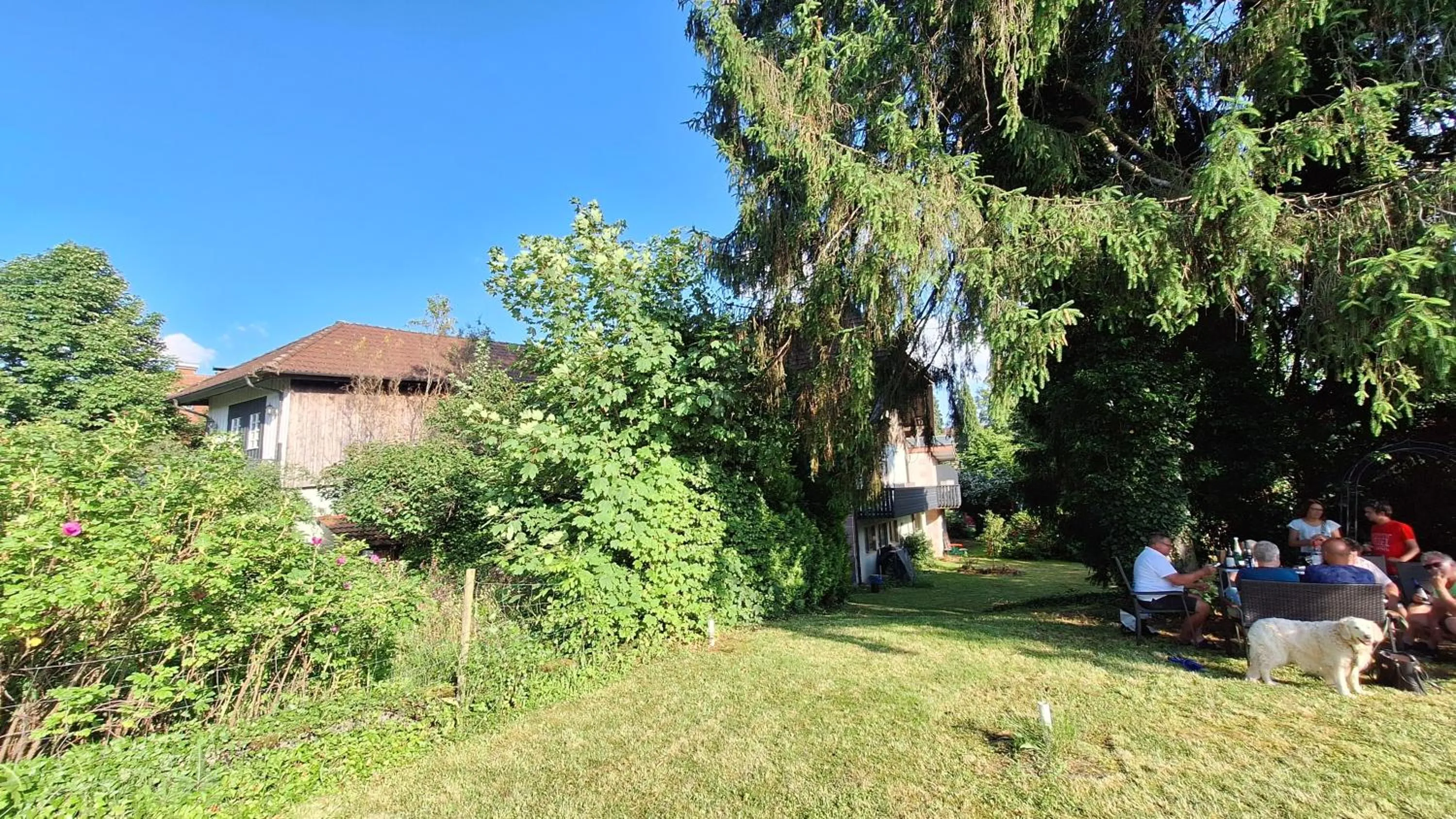 Garden view in Hotel zum Kreuz