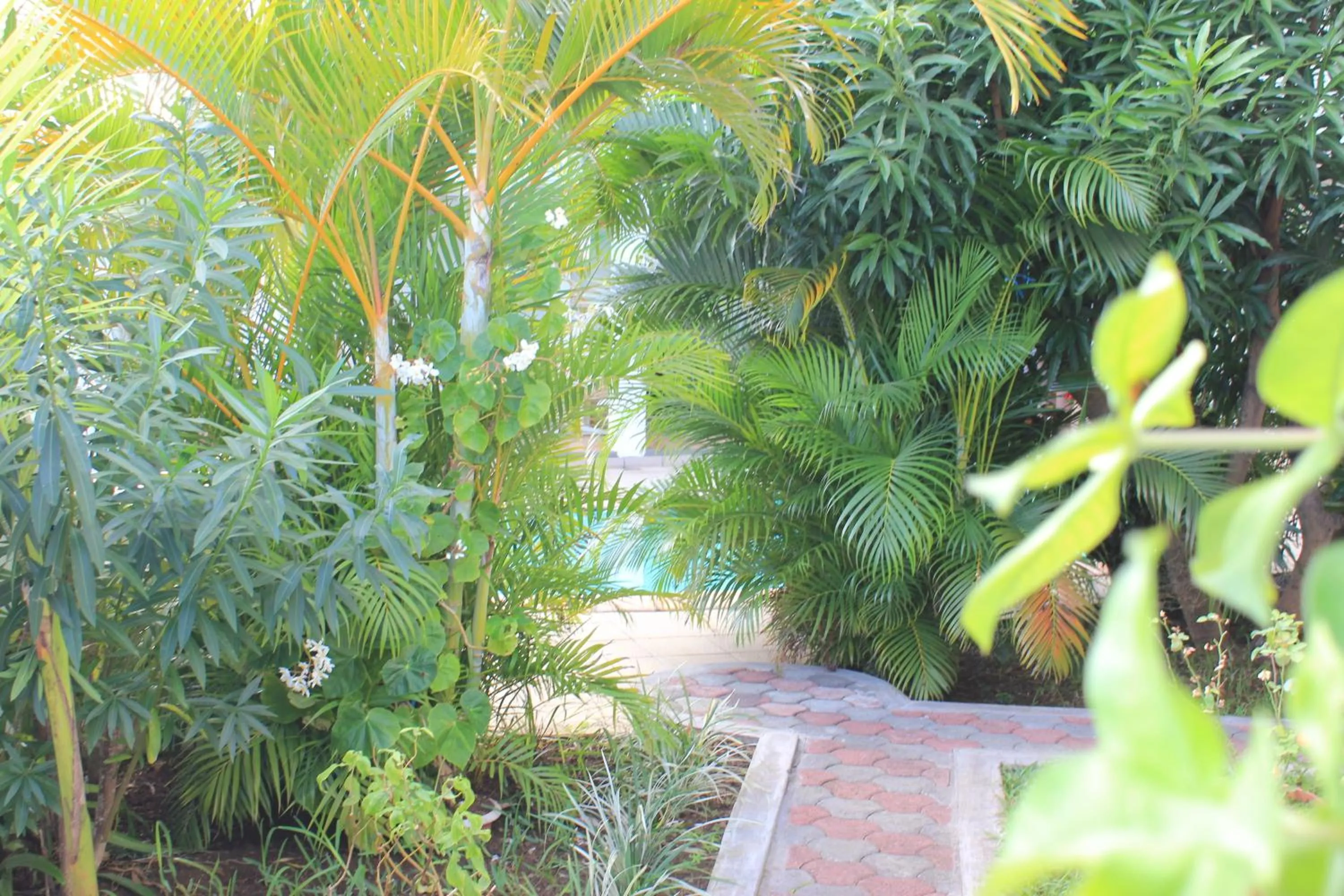 Garden in LeBovallon B&B