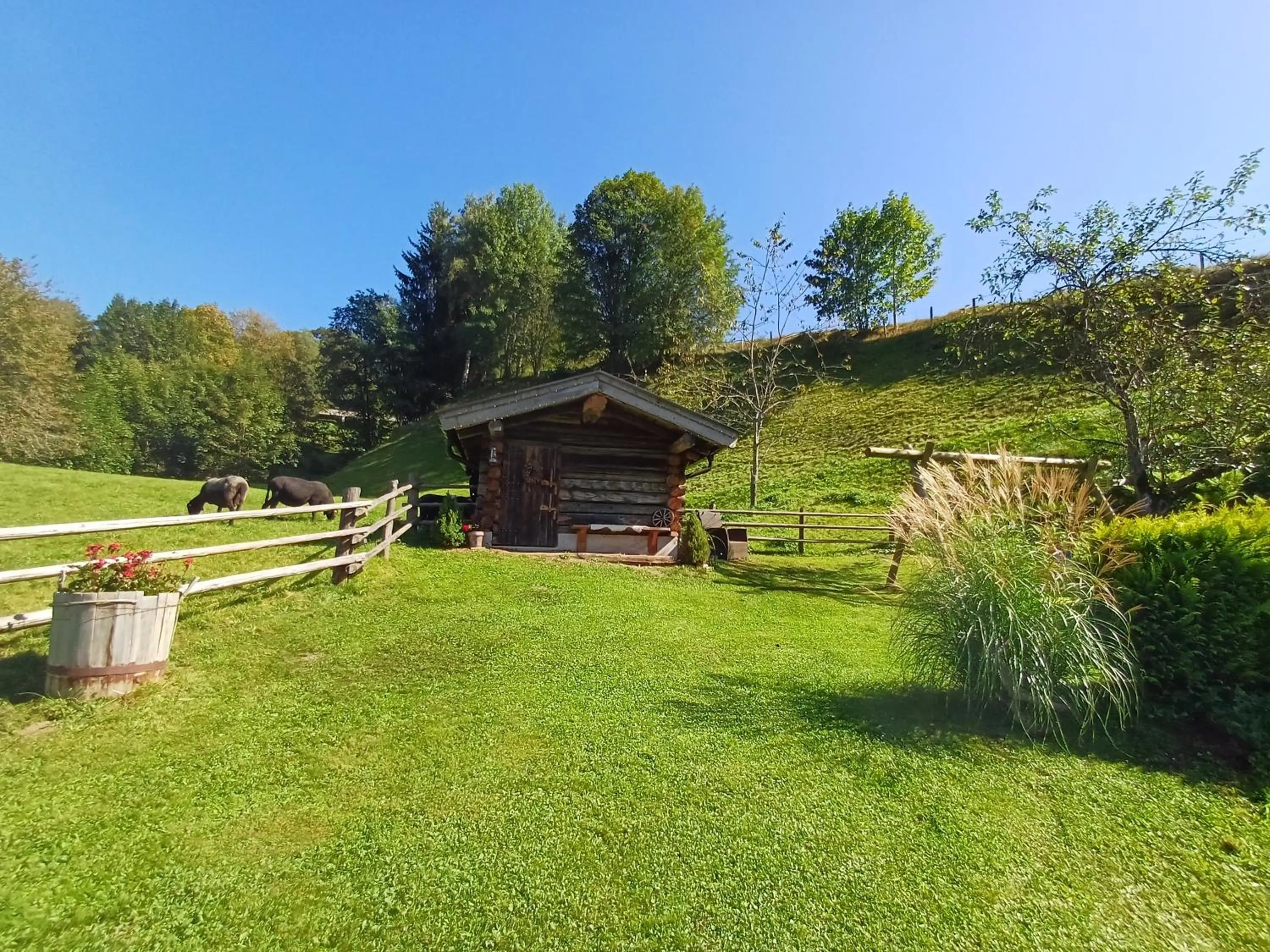 Property building in Ferienhaus Lemberger