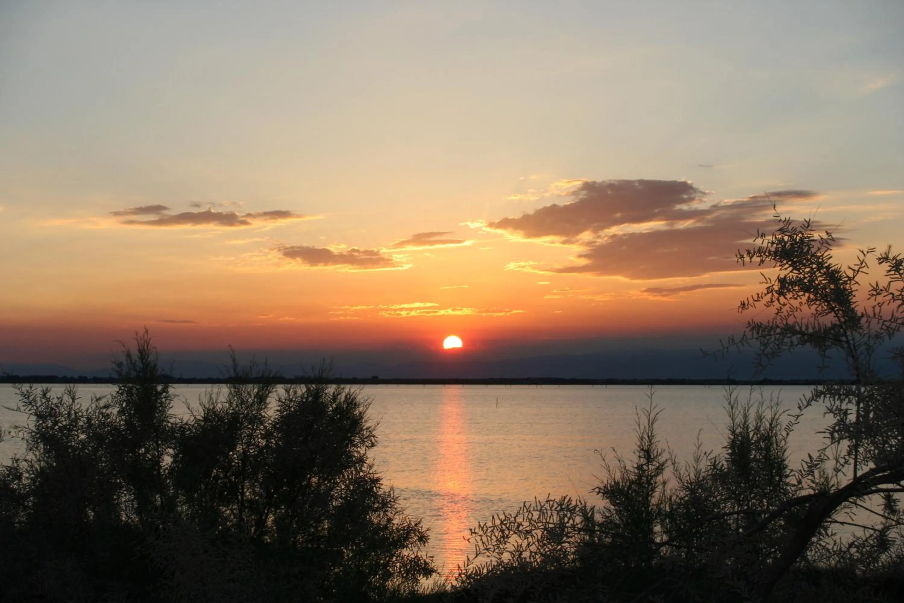 Area and facilities in Hotel Al Cigno