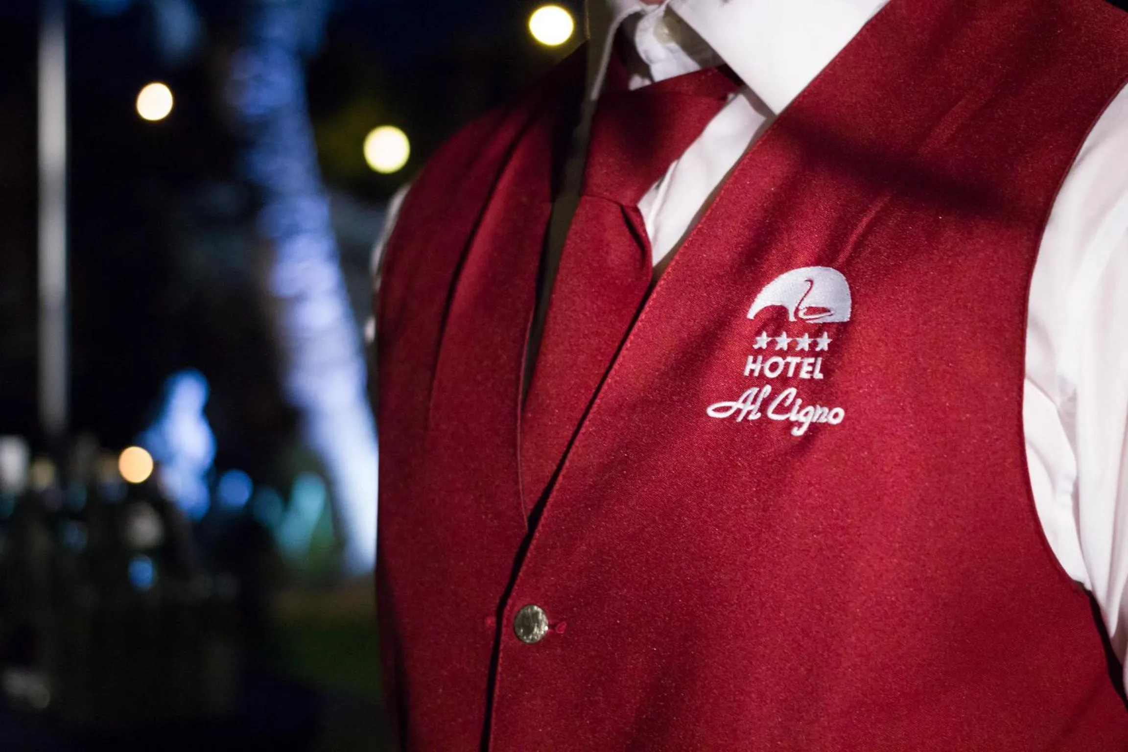 Property logo or sign in Hotel Al Cigno