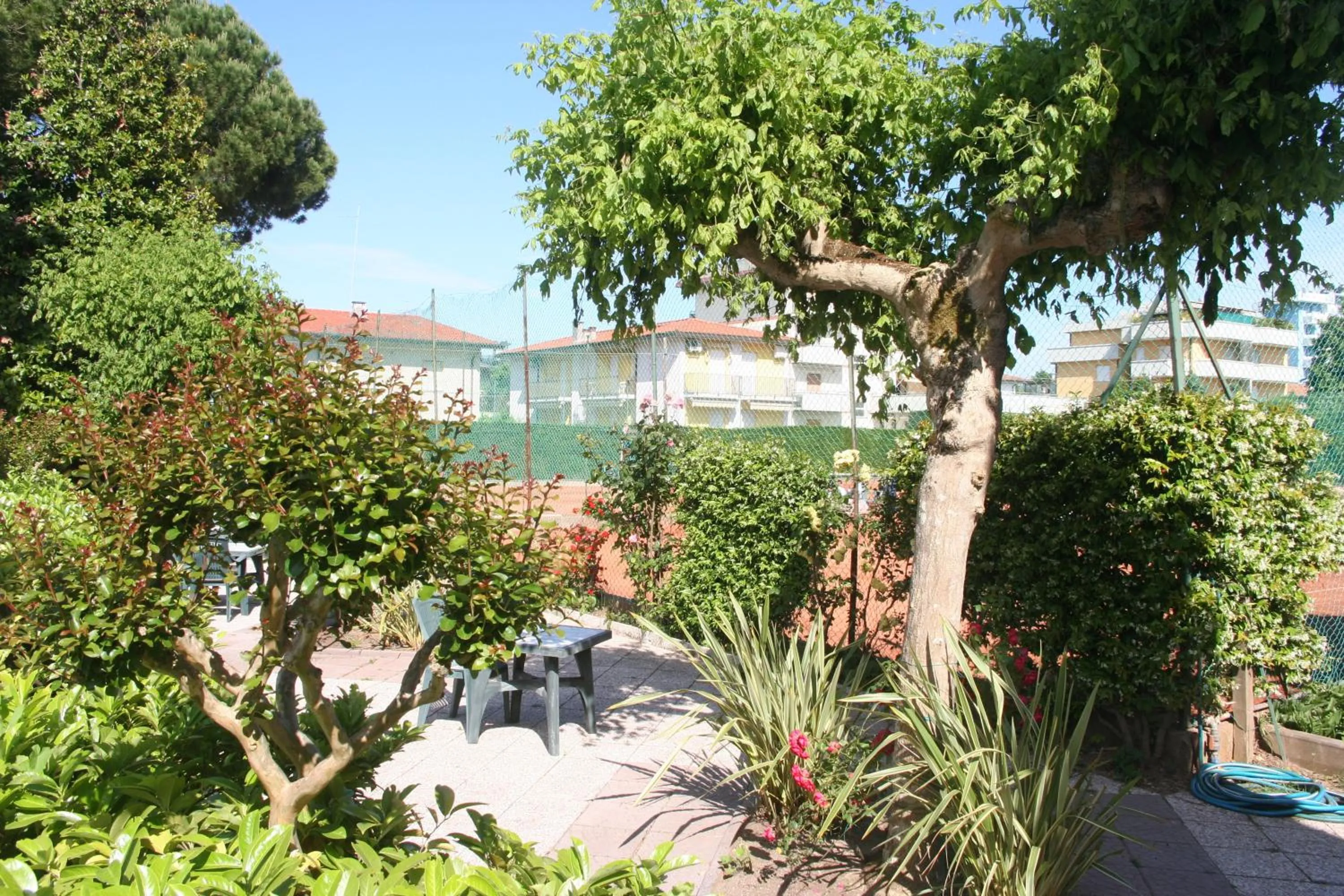 Garden in Hotel Al Cigno