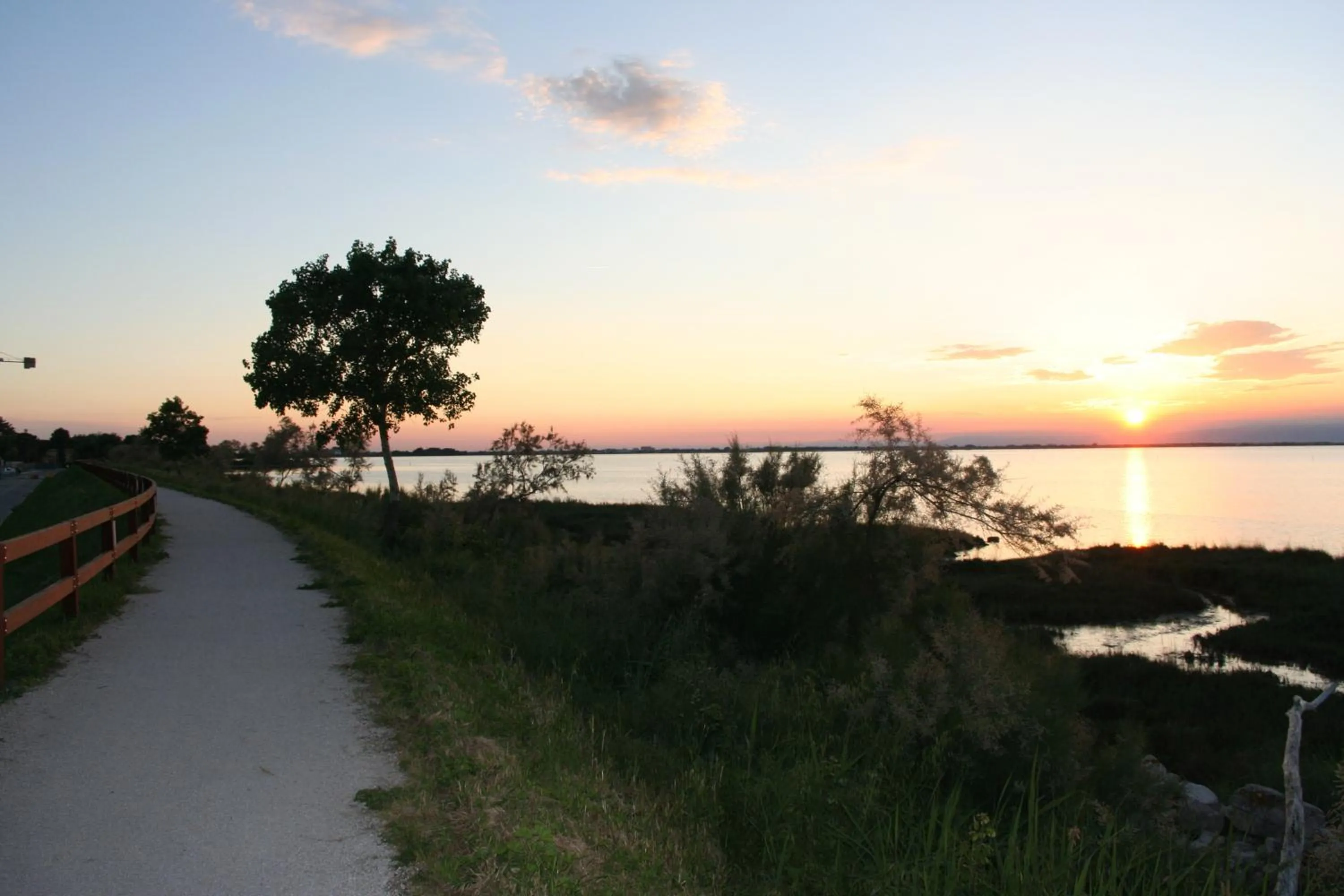 Area and facilities in Hotel Al Cigno