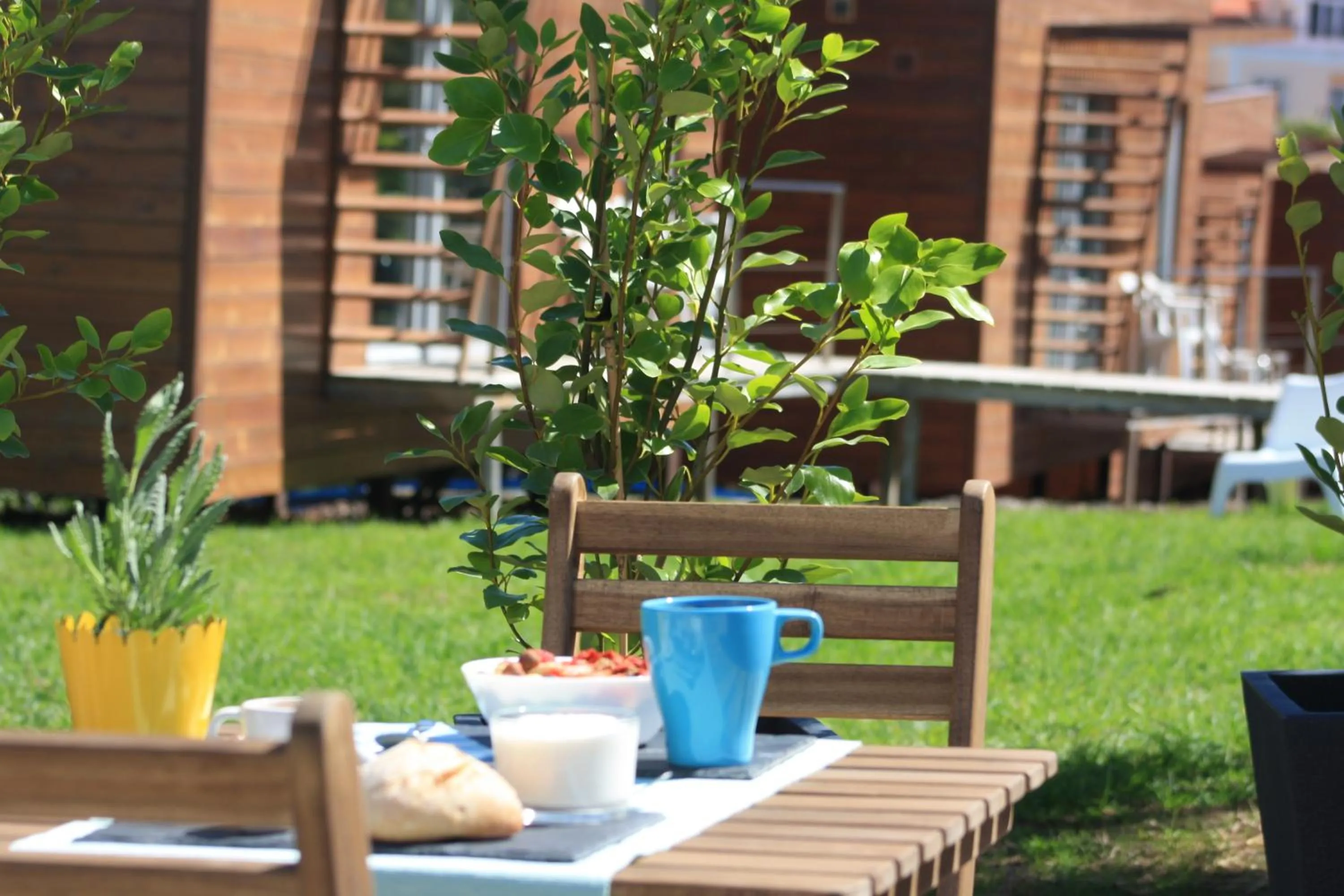 Garden in Golden Halcyon - Ericeira Villas