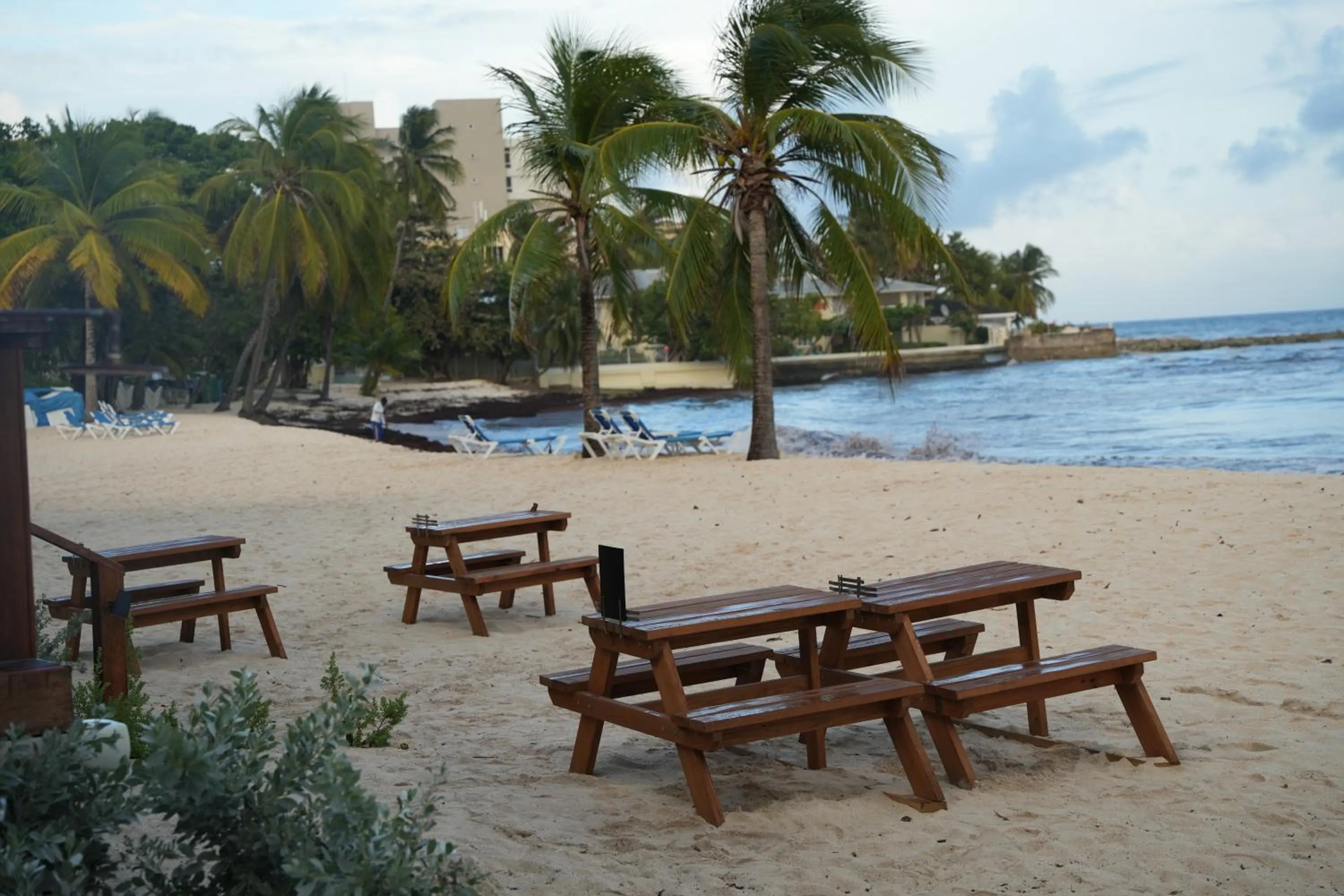 Beach in Hôtel Le Roy