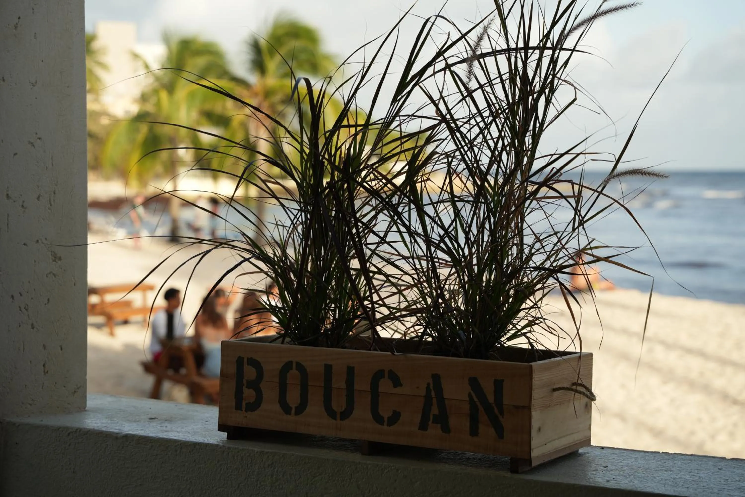 Sea view in Hôtel Le Roy