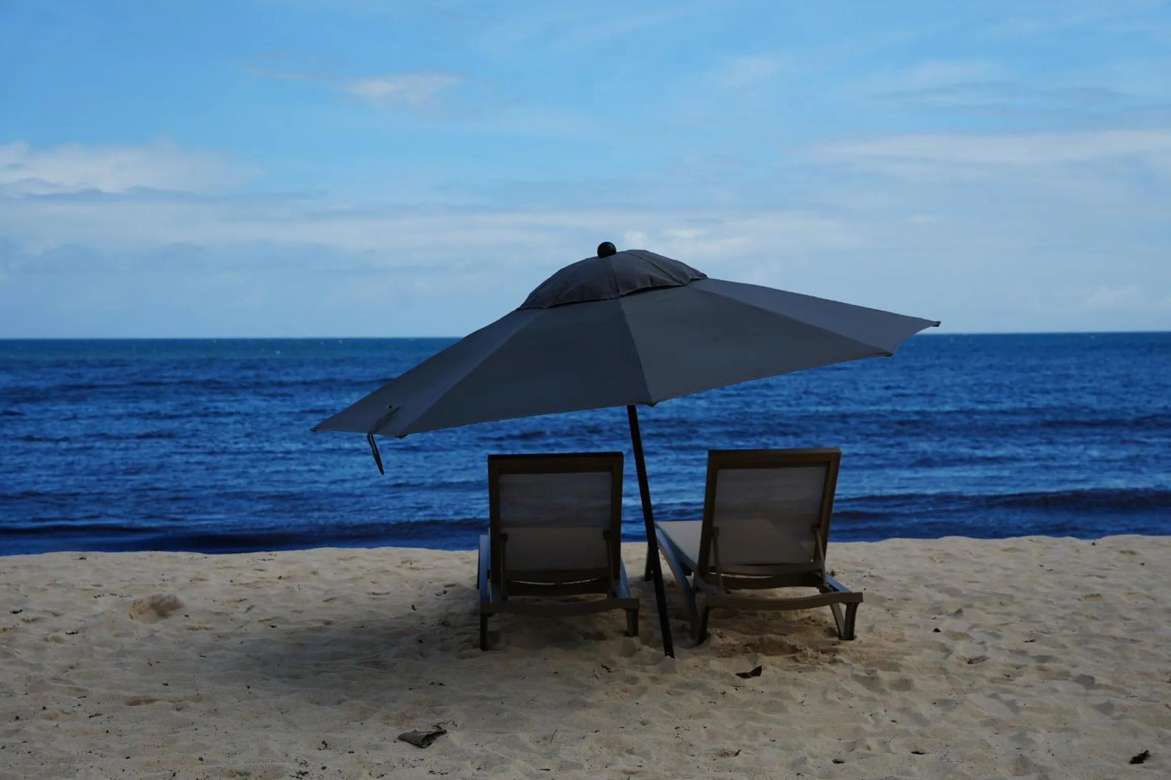 Beach in Hôtel Le Roy