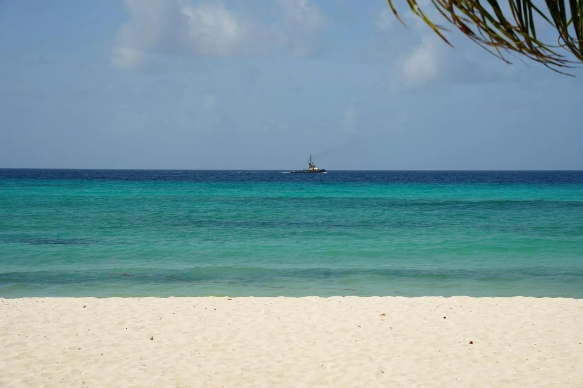Beach in Hôtel Le Roy