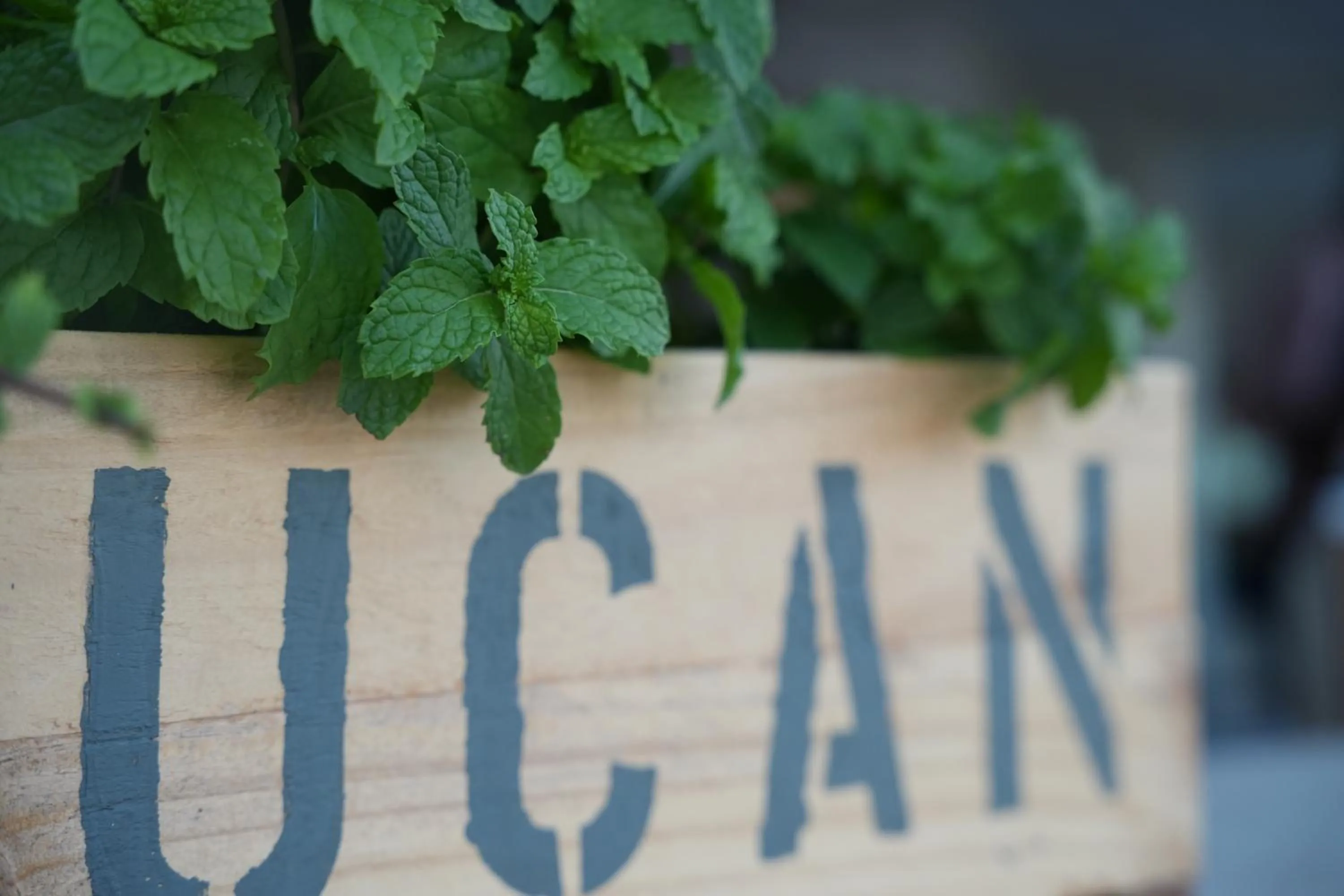 Property logo or sign in Hôtel Le Roy