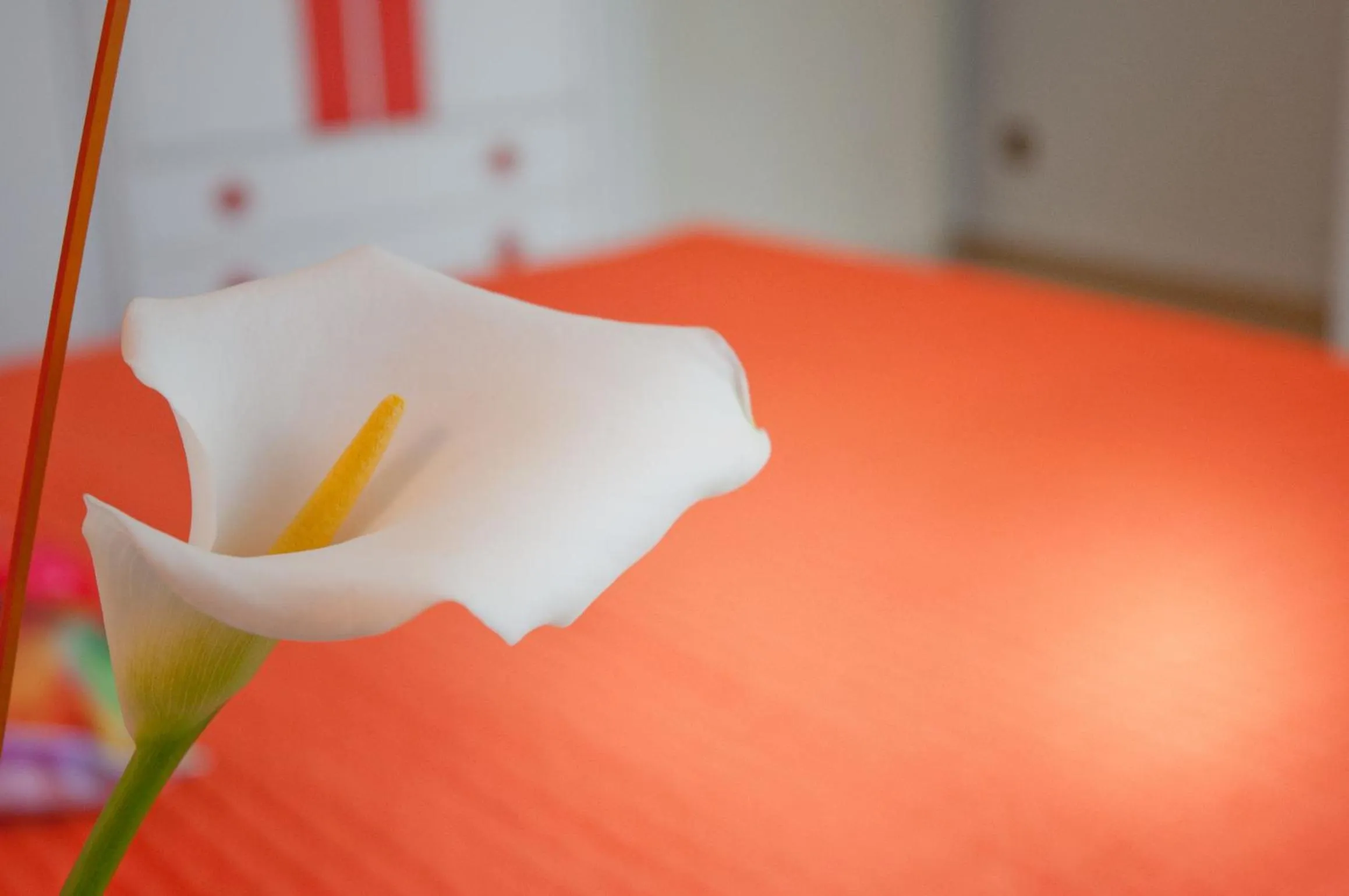 Bedroom, Bed in Albergo La Rosetta