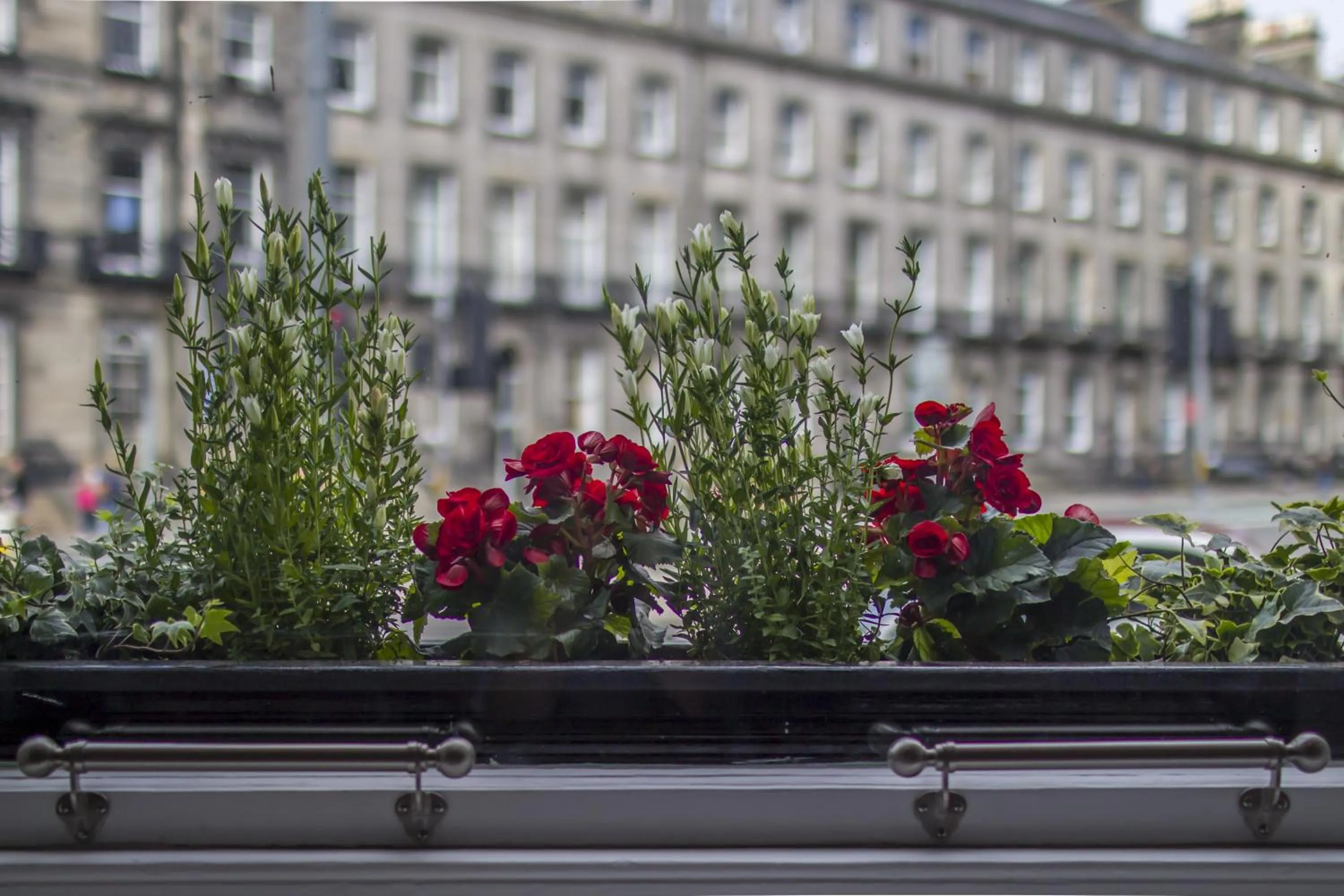 Decorative detail in Haymarket Apartments