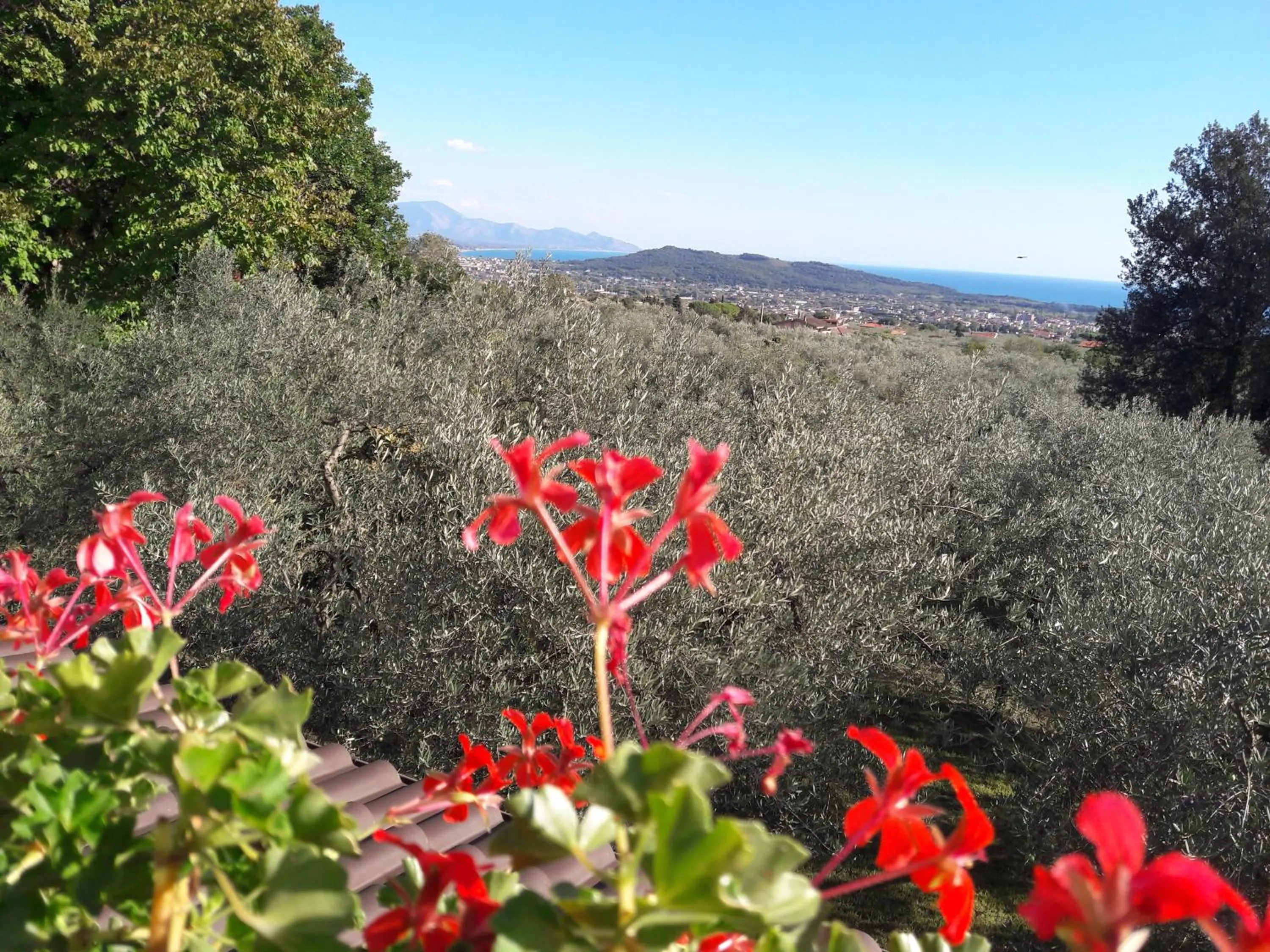 Sea view in B&B Villa Ada