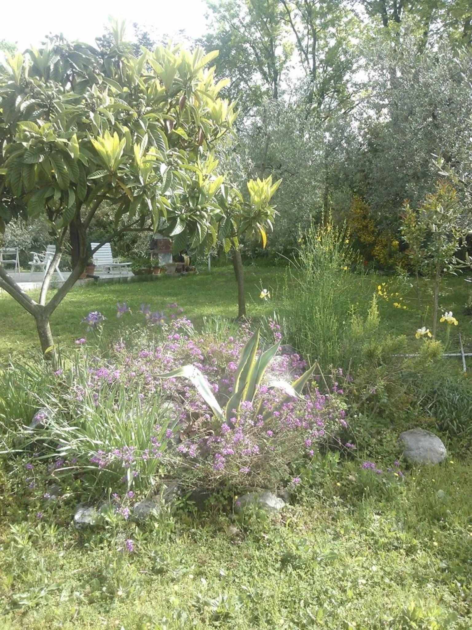 Garden in B&B Villa Ada