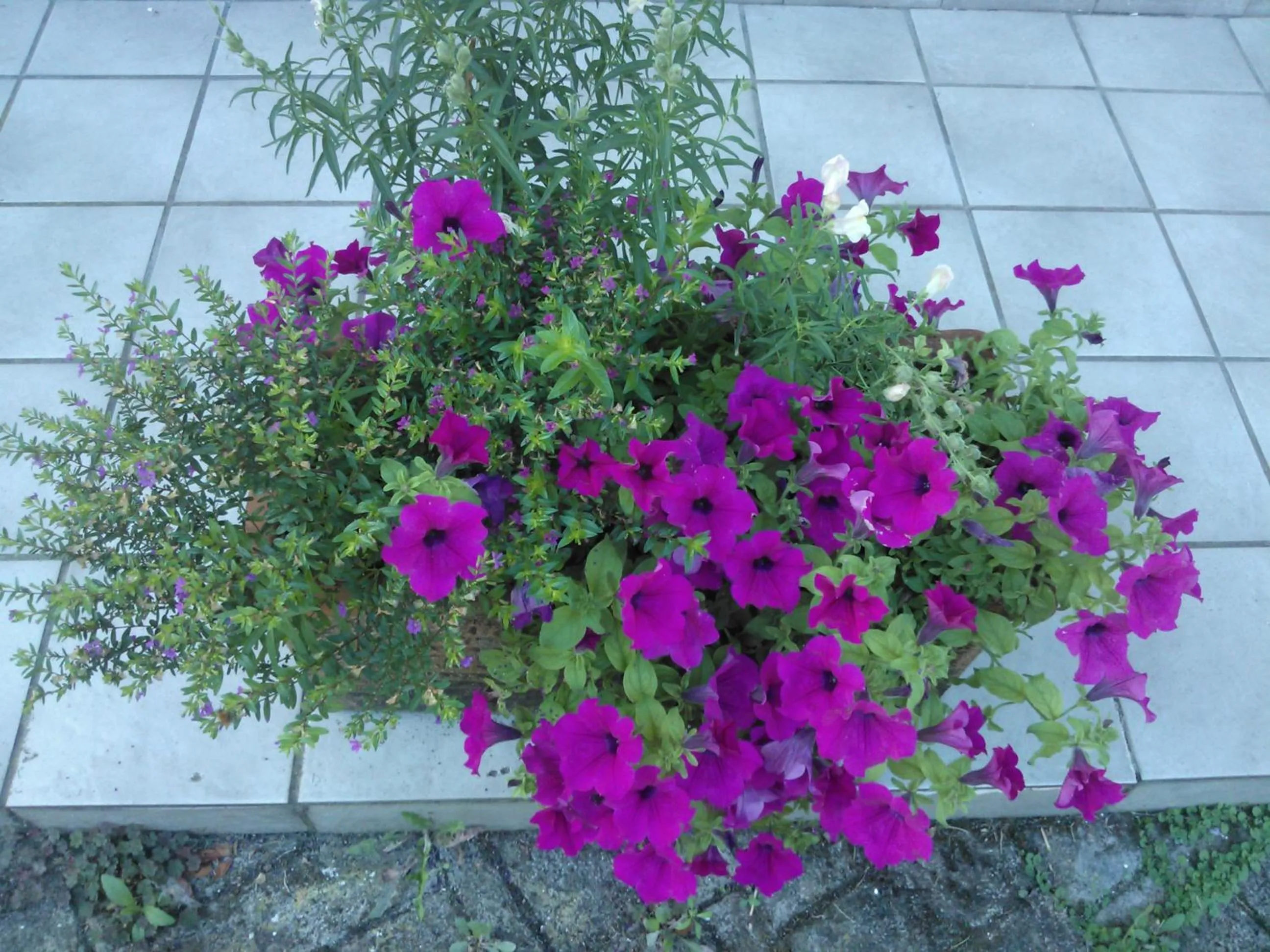 Decorative detail in B&B Villa Ada