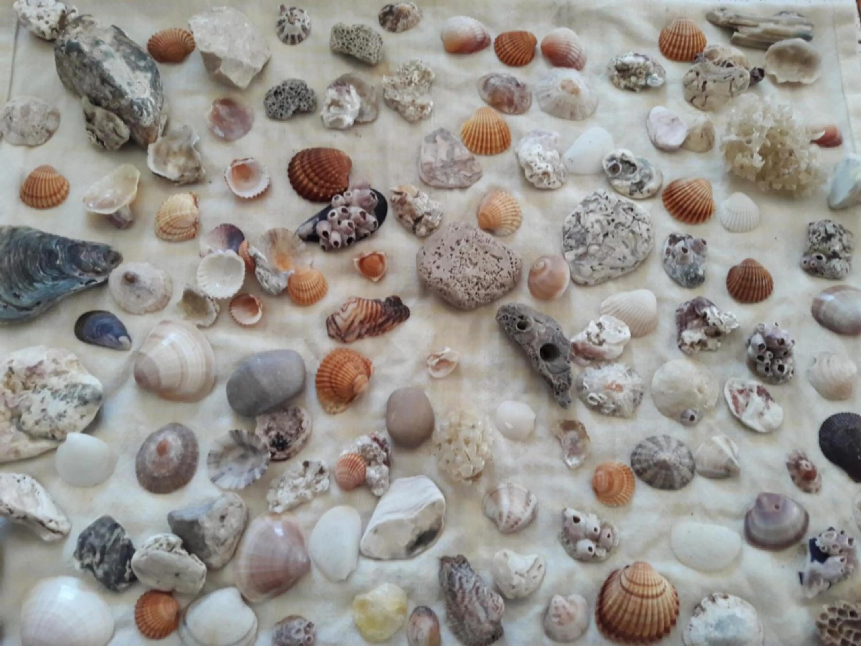 Decorative detail in B&B Villa Ada