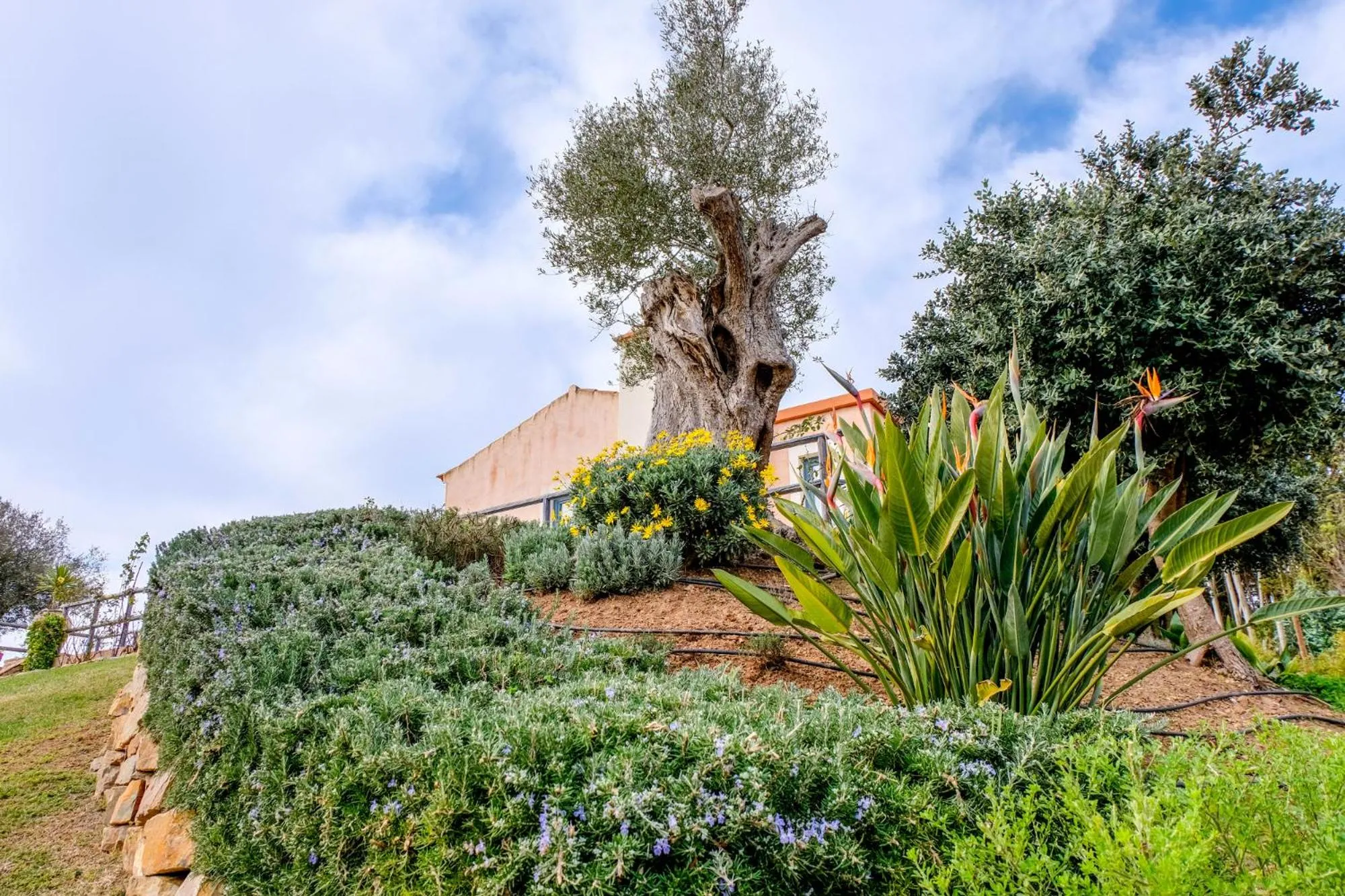Garden in Monte Soalheiro