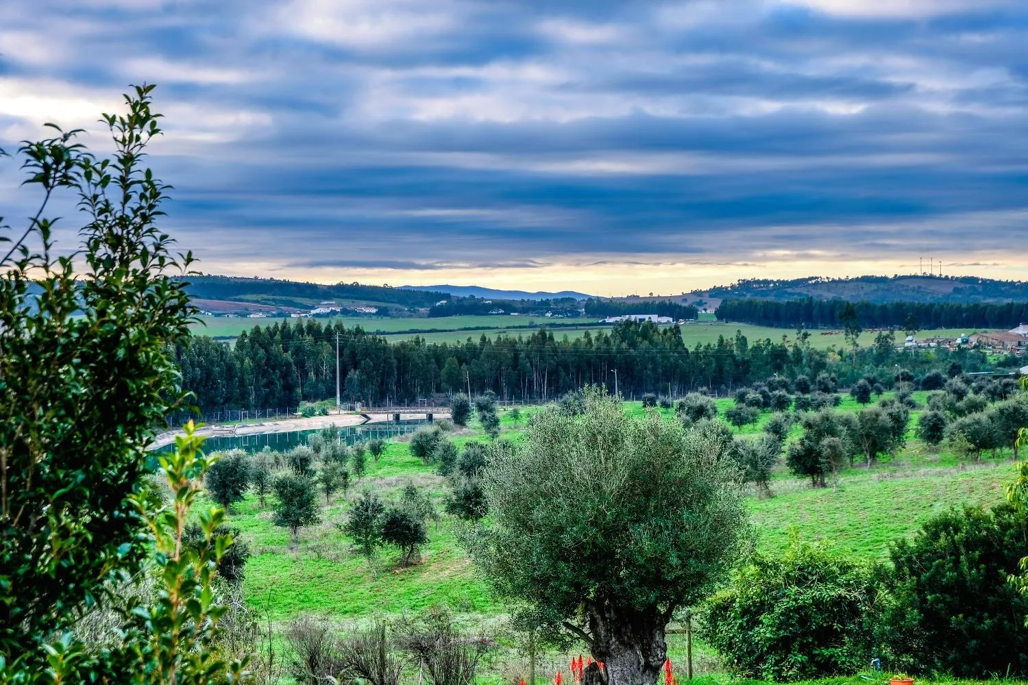 Mountain view in Monte Soalheiro