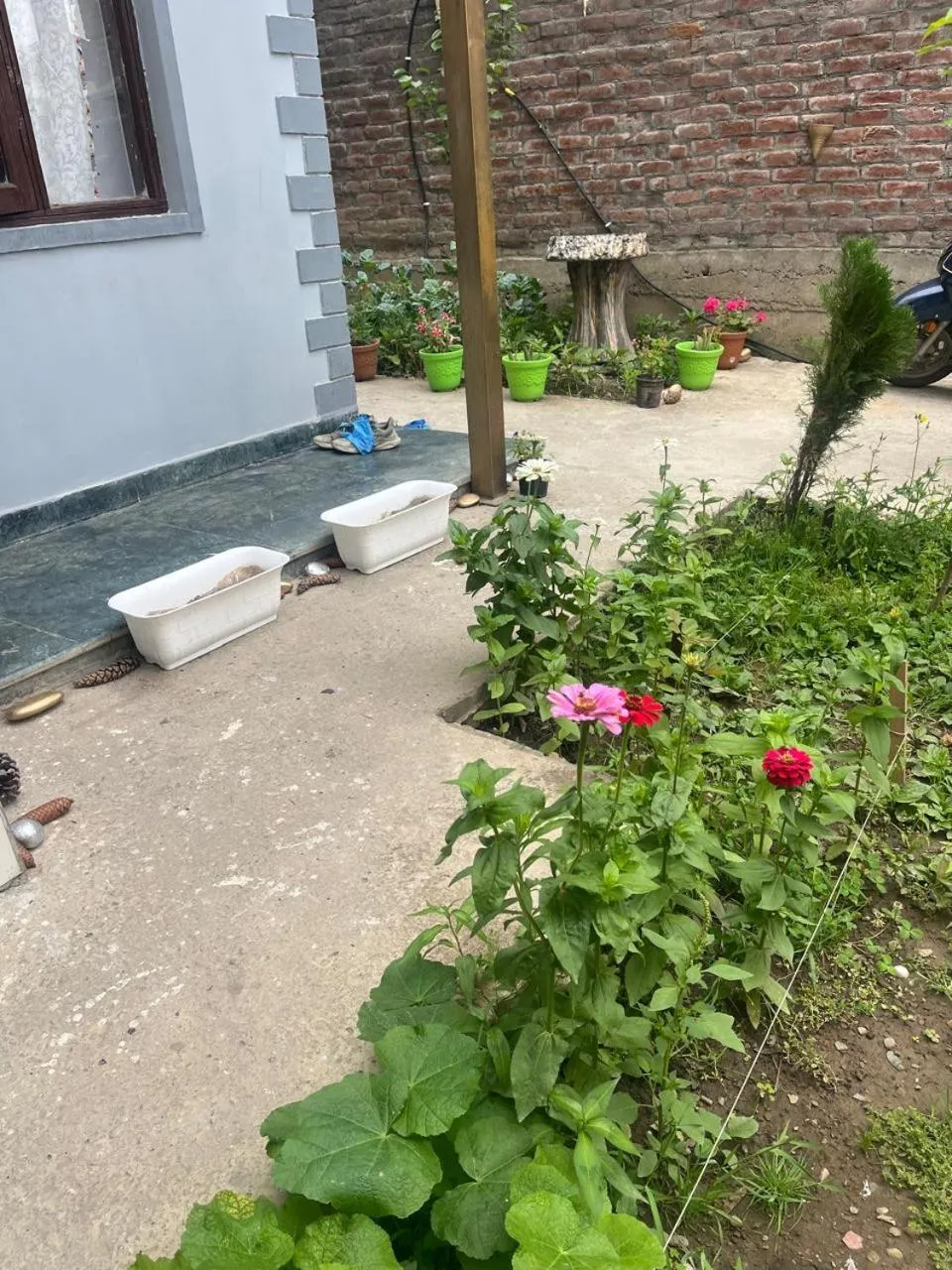 Garden view in Al Mubeen home stay