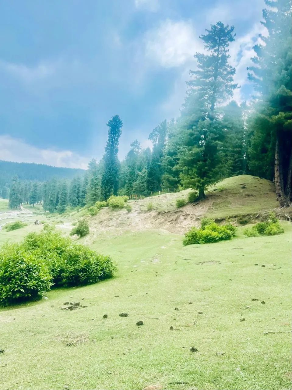 Natural landscape in Al Mubeen home stay