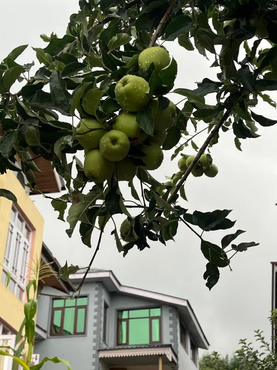 Property building in Al Mubeen home stay