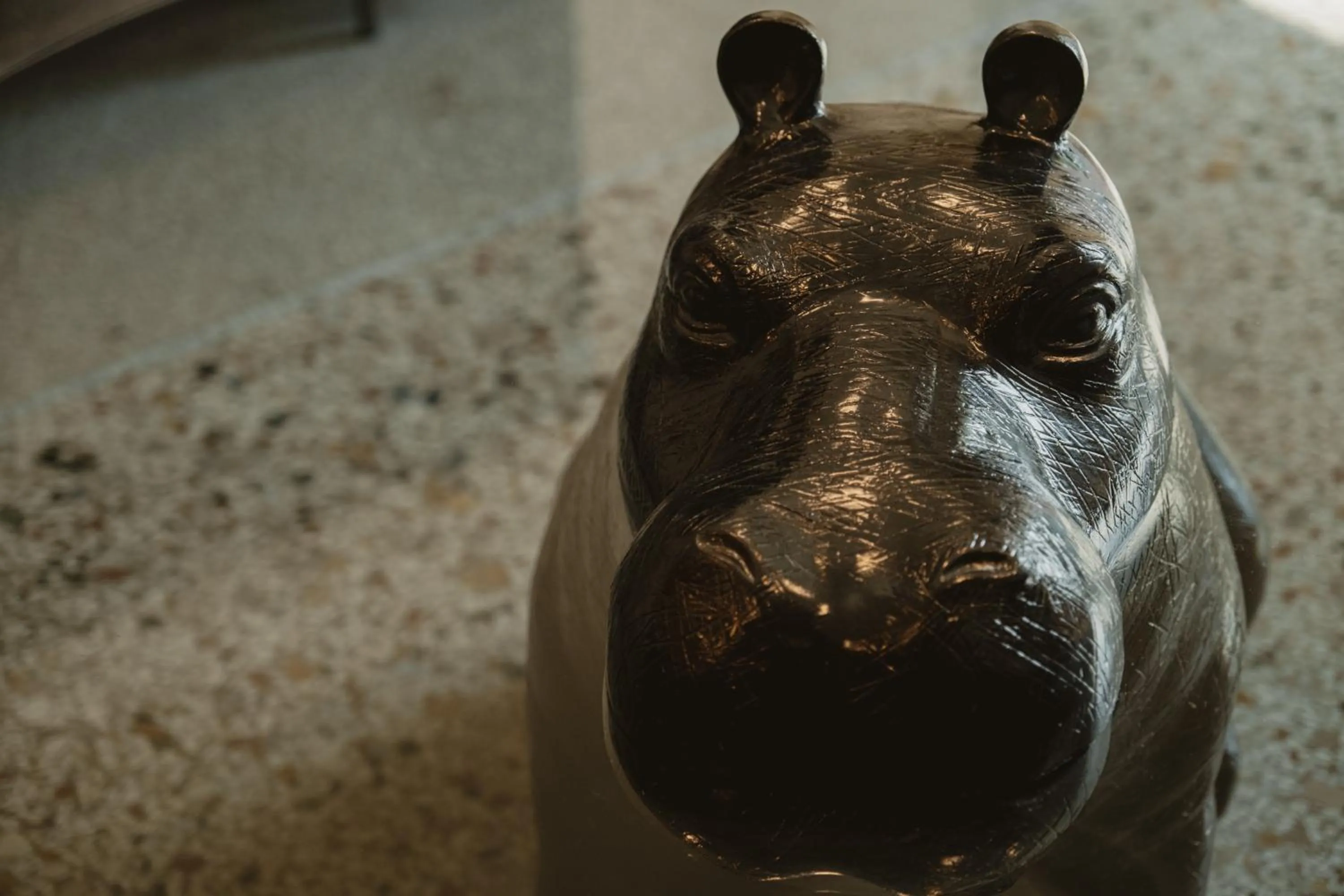 Decorative detail in Palazzo Sebeto