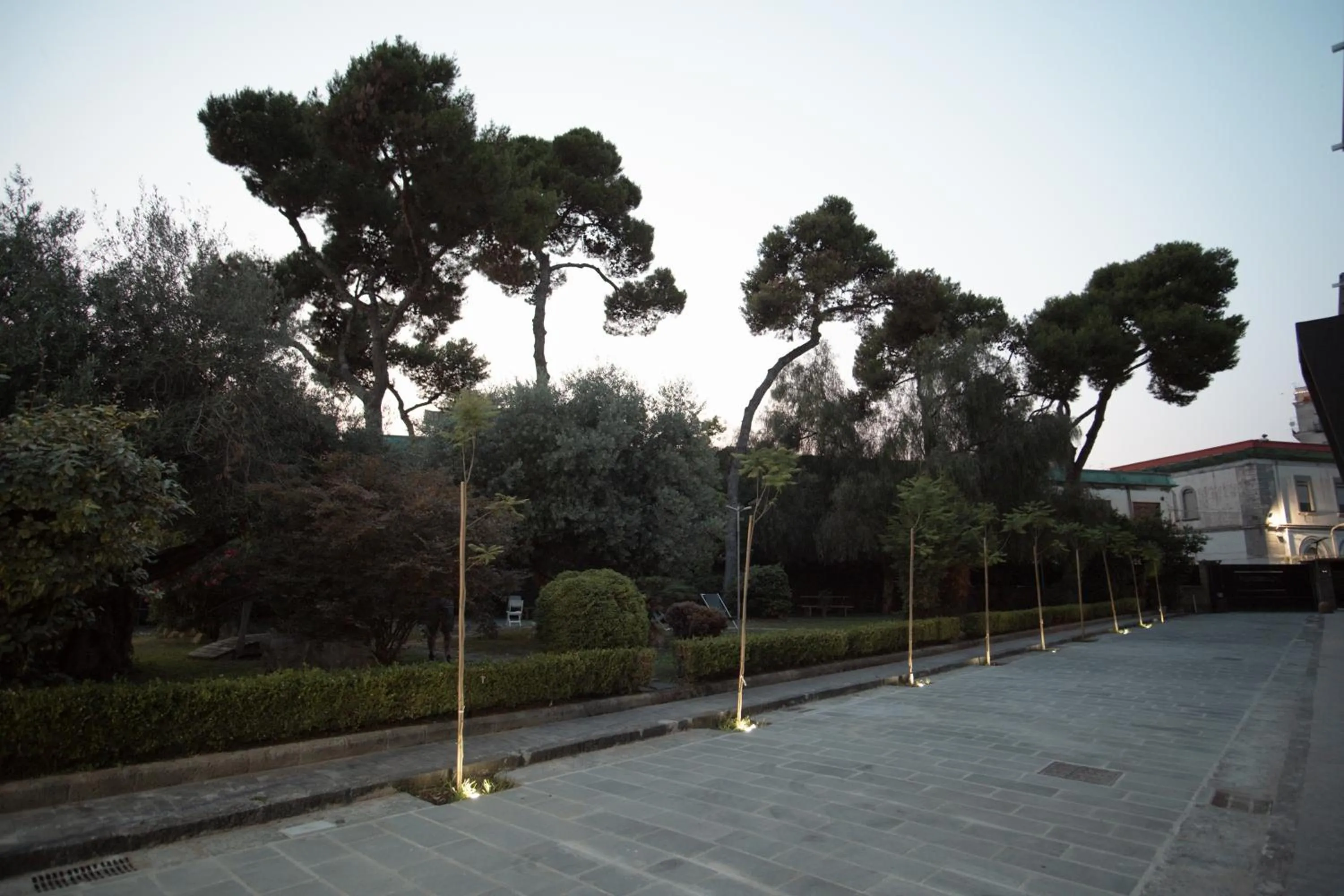 Natural landscape in Palazzo Sebeto