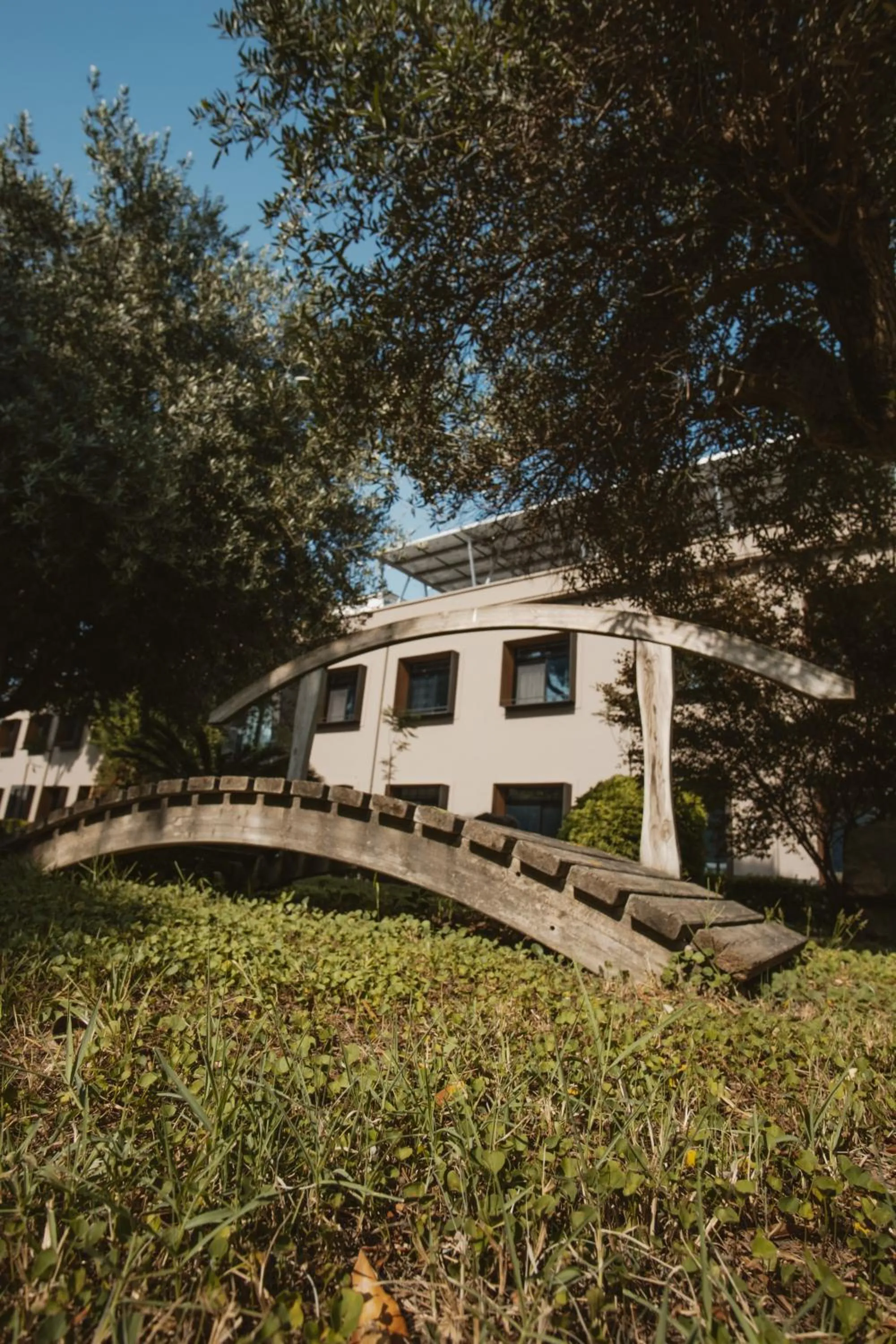 Spring in Palazzo Sebeto