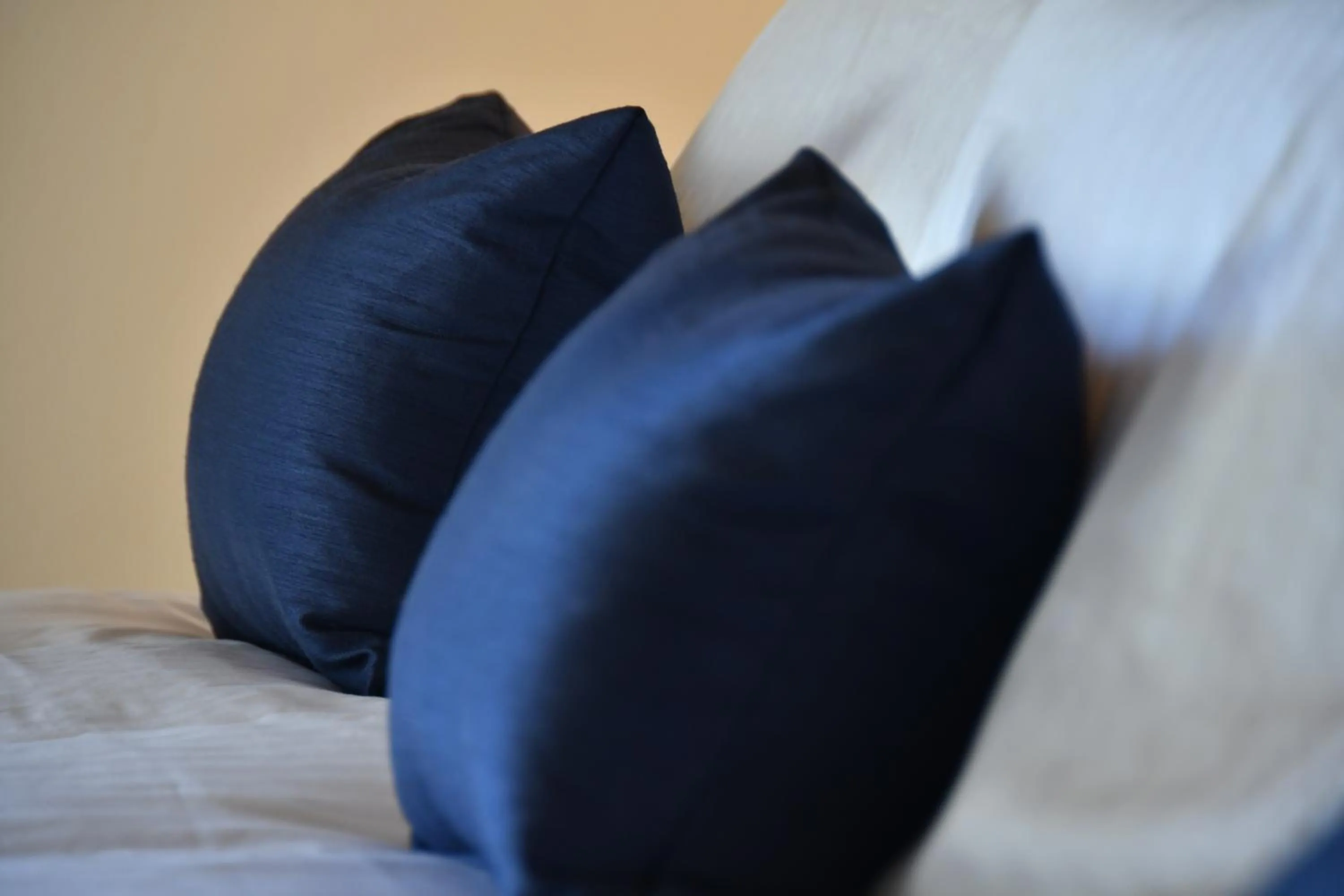 Forge Motel & Firehouse Restaurant