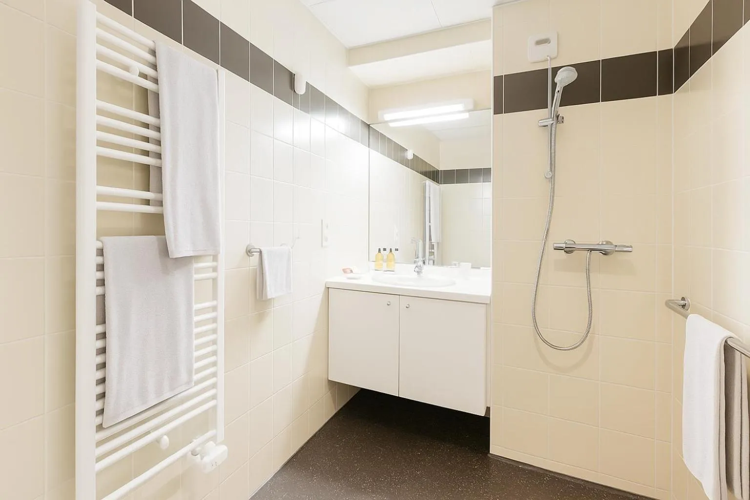 Shower in Zenao Appart'hôtels Wintzenheim