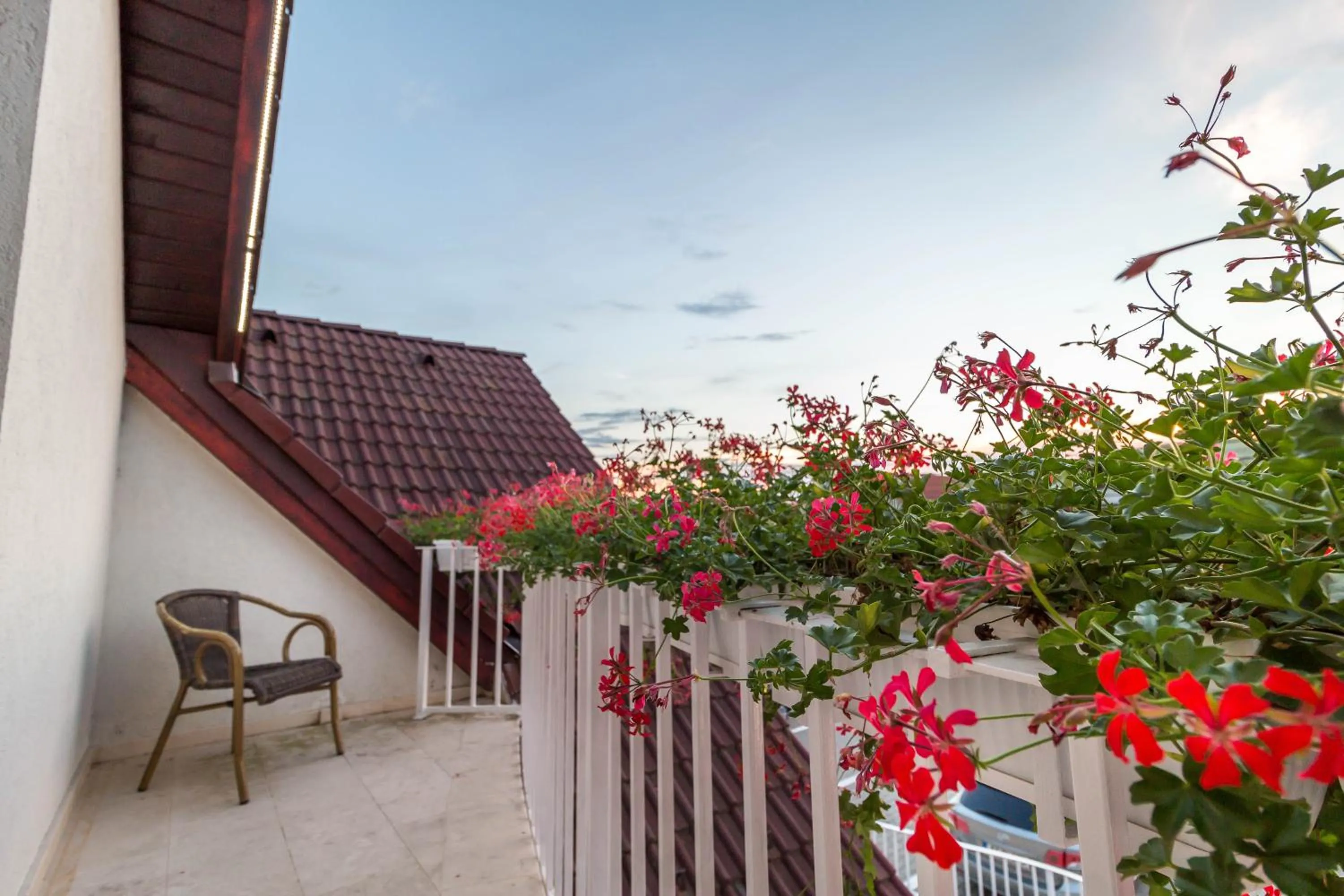 Balcony/Terrace in Horeum Boutique Hotel