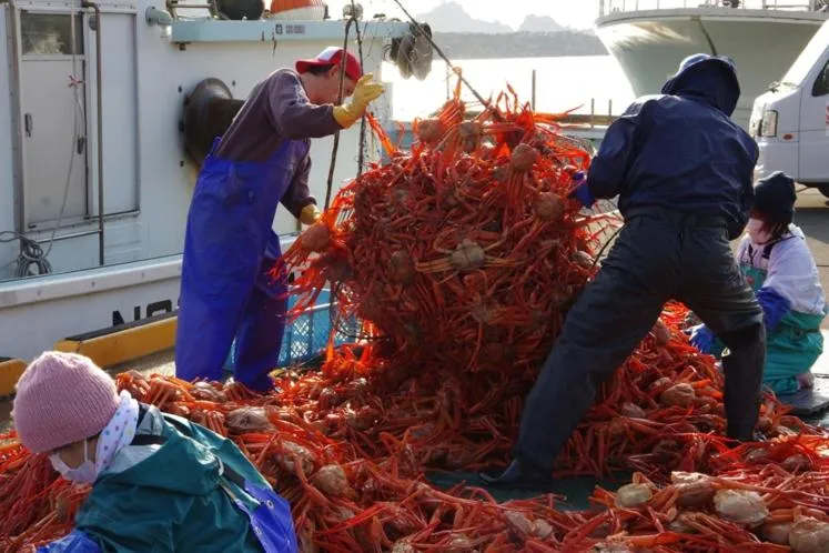 Hotel Kunitomi Suisennkaku