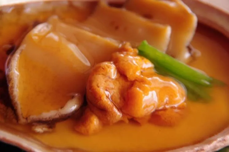 Hotel Kunitomi Suisennkaku