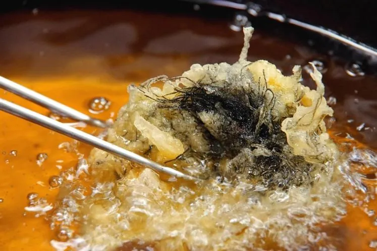 Hotel Kunitomi Suisennkaku