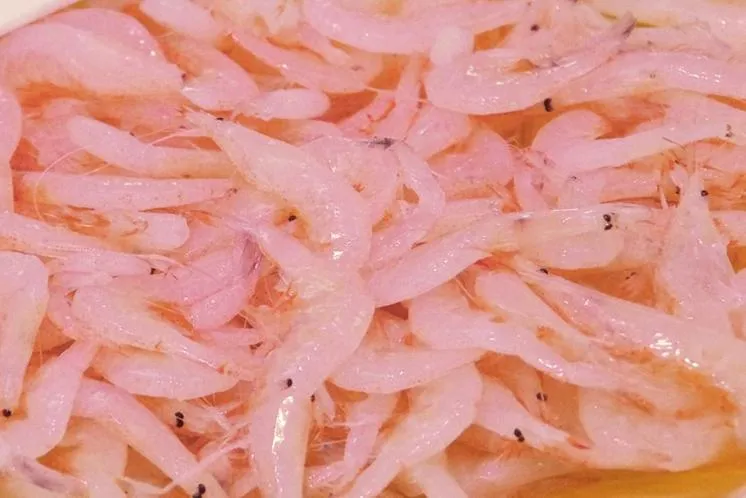 Hotel Kunitomi Suisennkaku