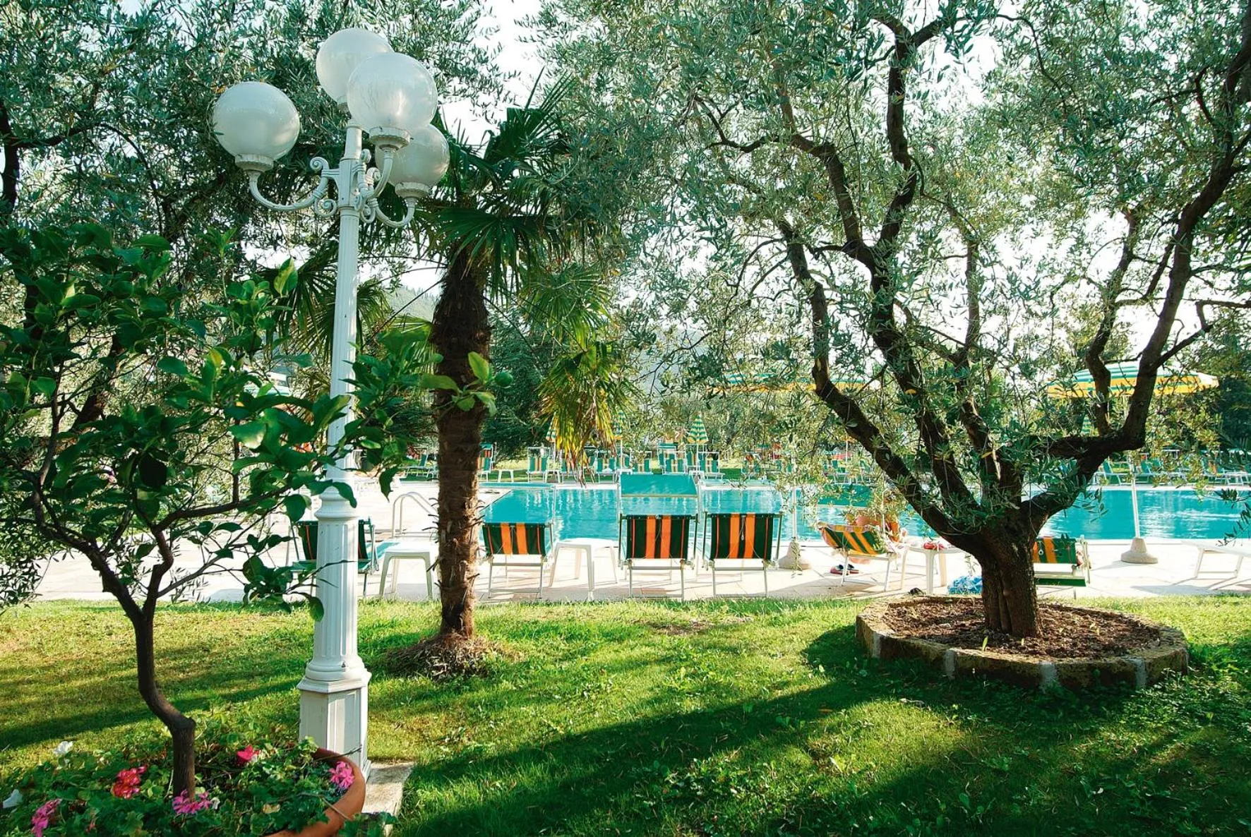 Day in Park Hotel Oasi