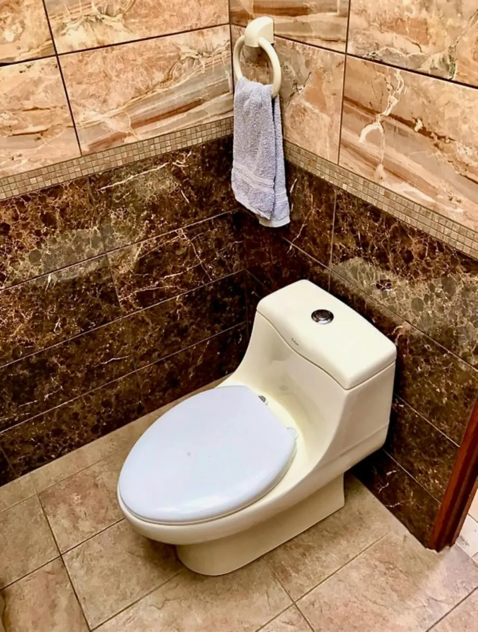 Toilet in Eden Atenas Costa Rica