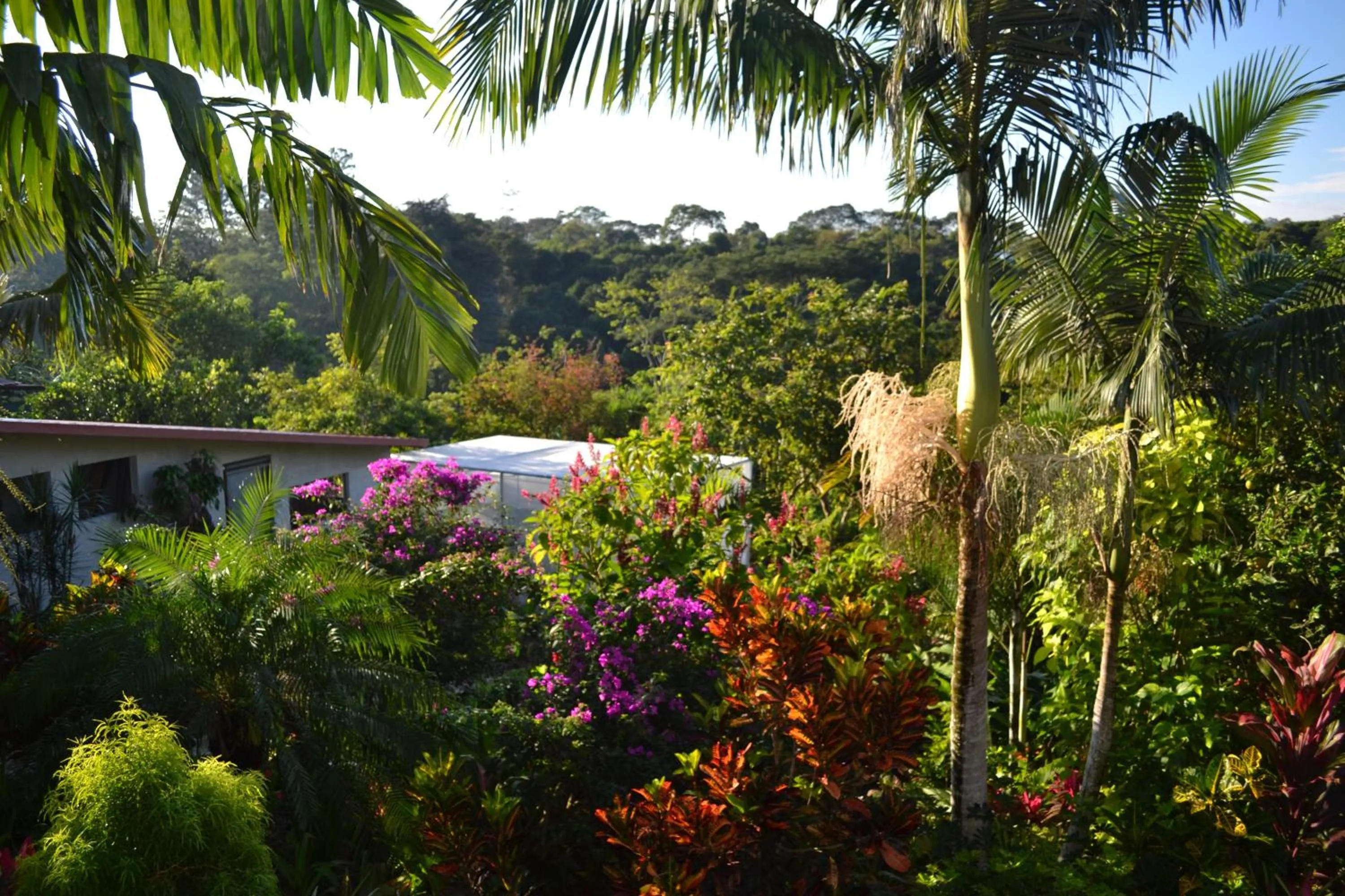 Garden view in Eden Atenas Costa Rica