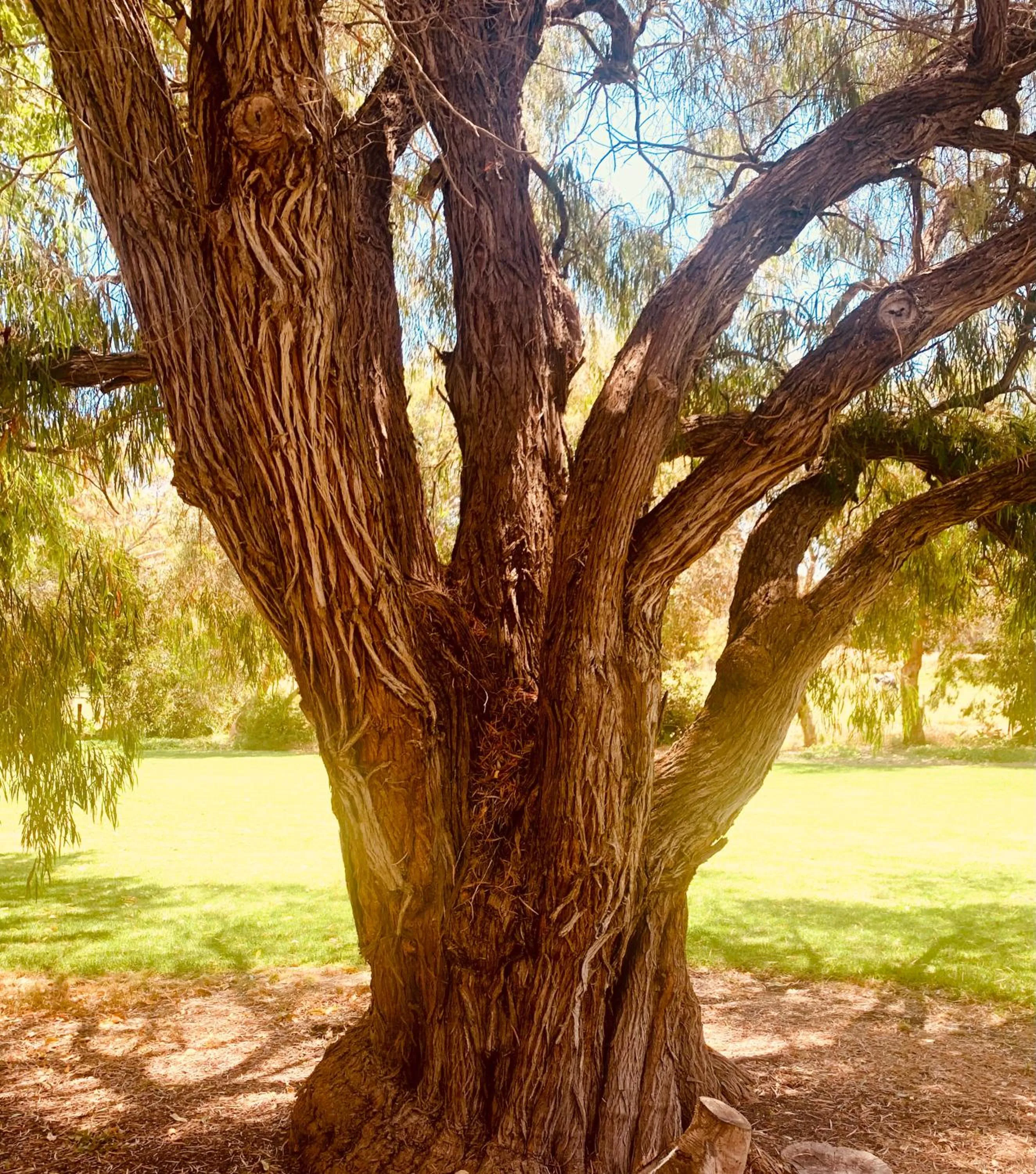 Spring Bay Villas, Denmark, WA