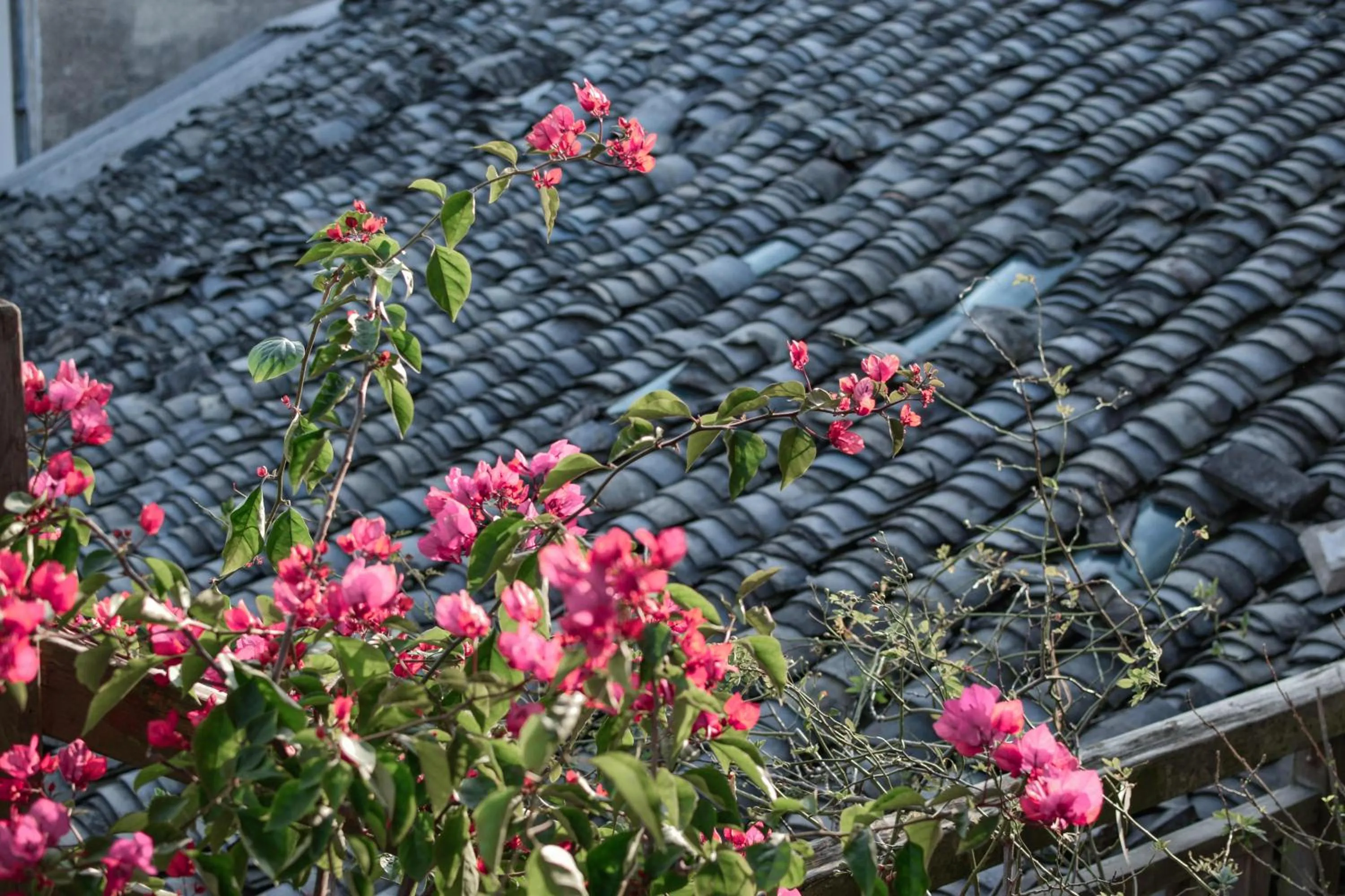 September Huizhou Inn