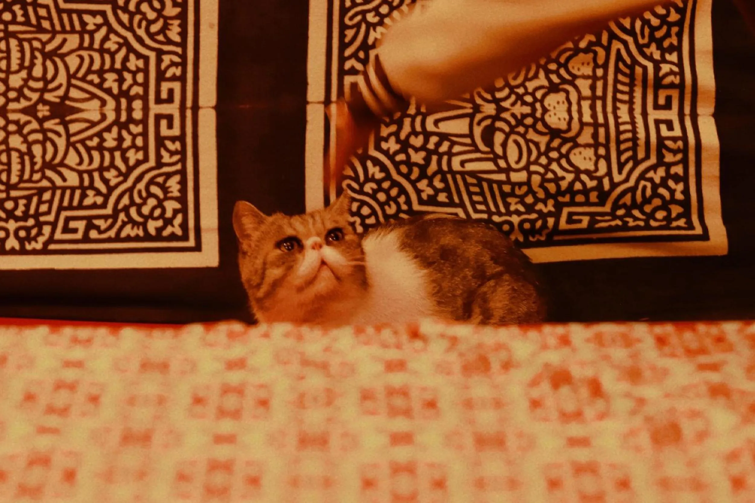 September Huizhou Inn