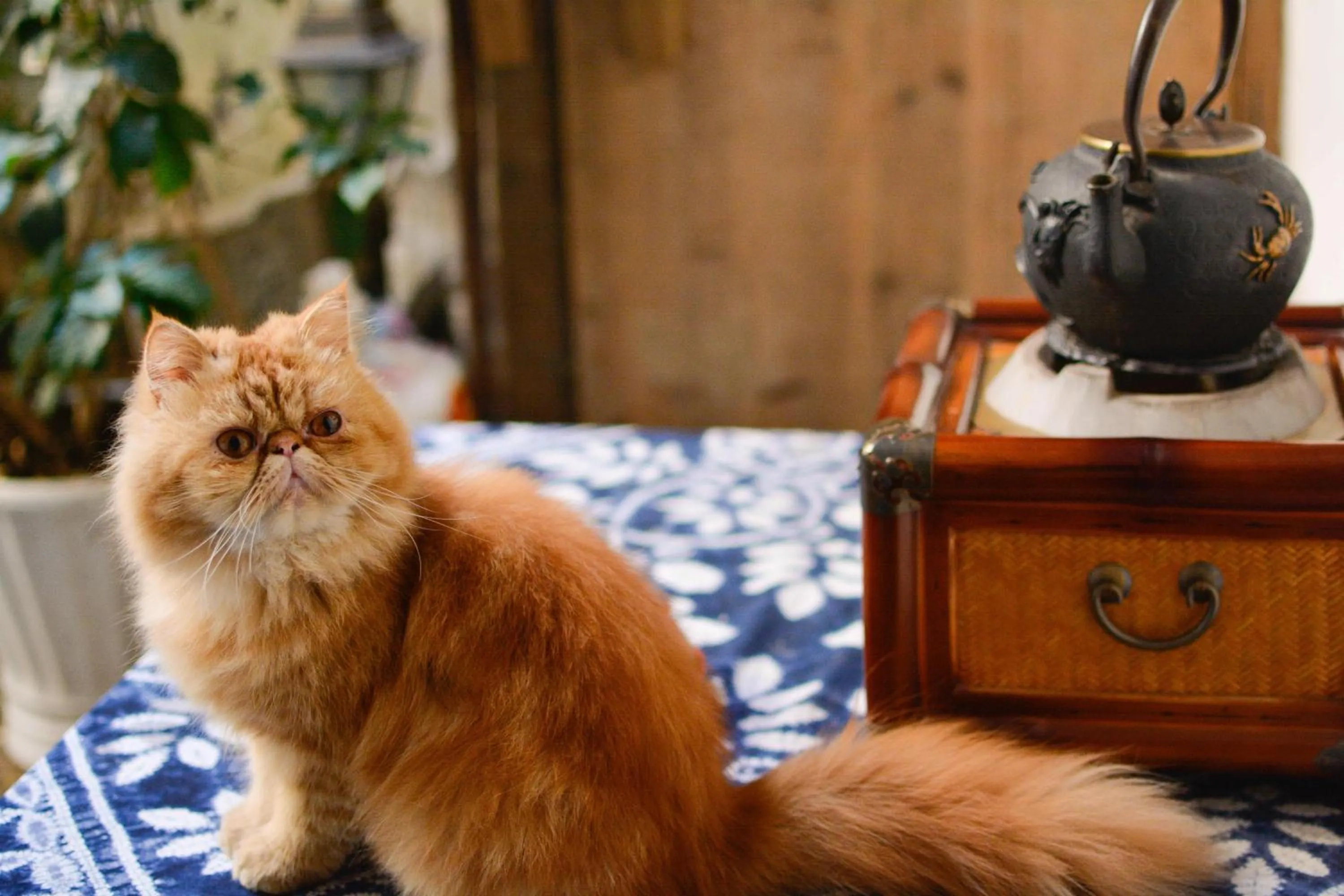 September Huizhou Inn