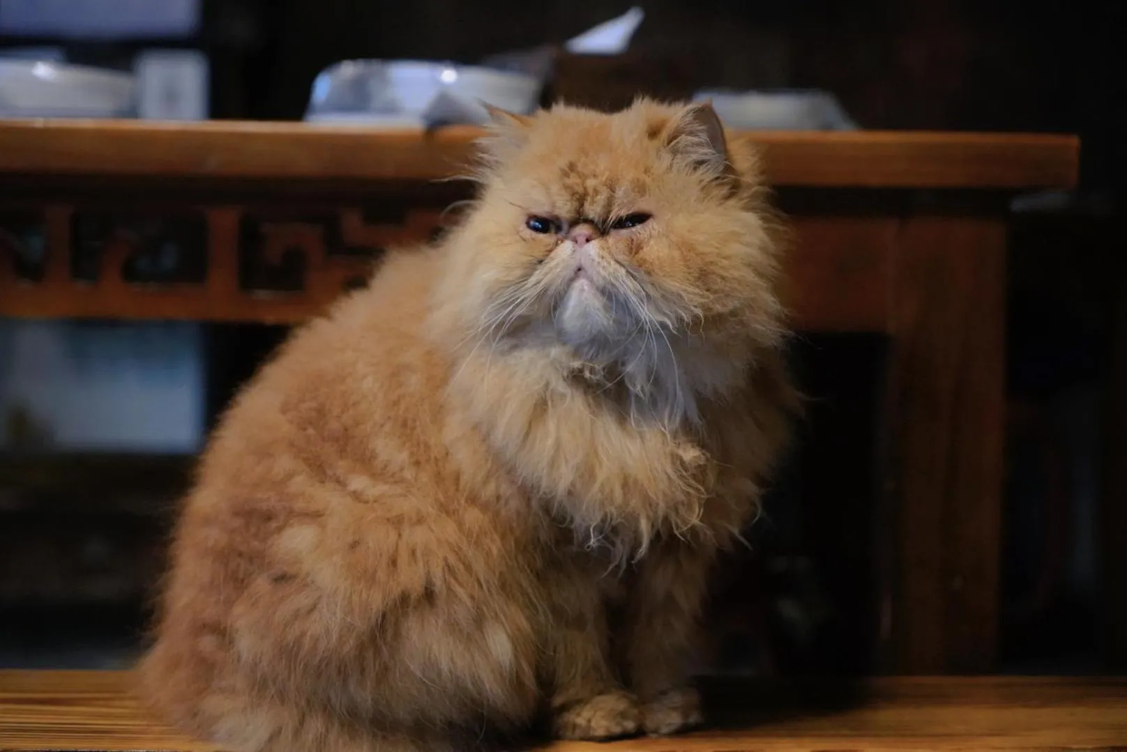 September Huizhou Inn