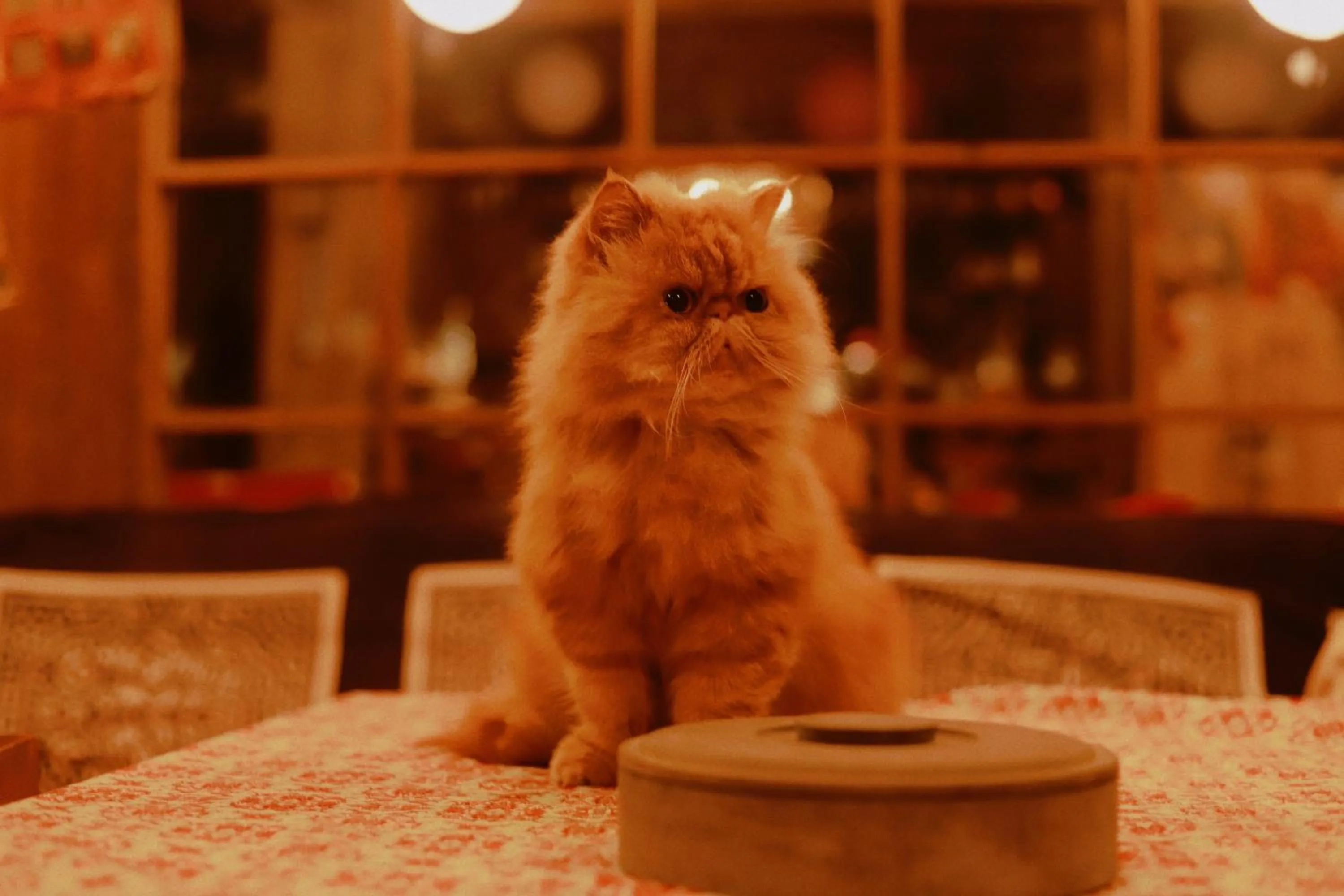 September Huizhou Inn