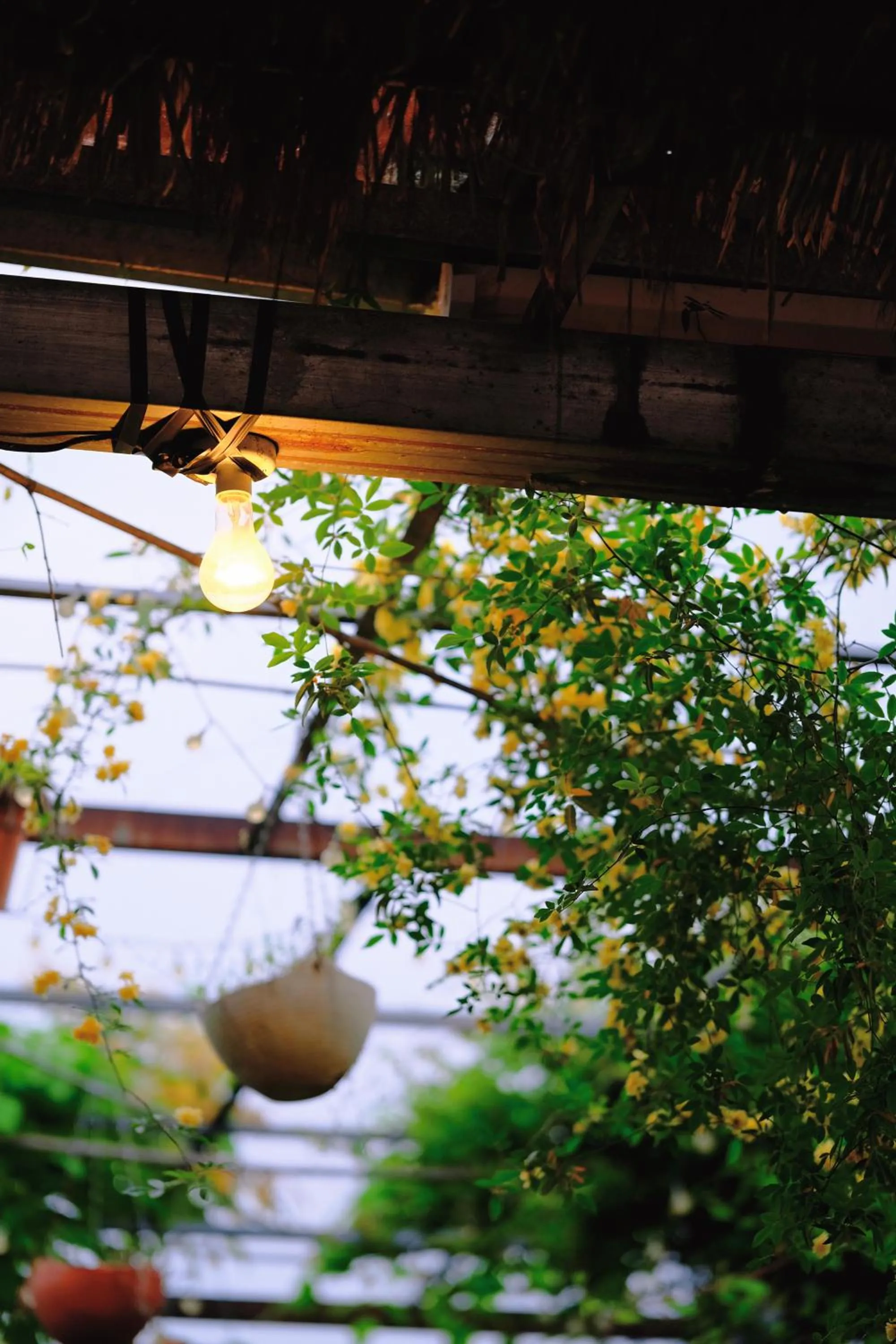 September Huizhou Inn