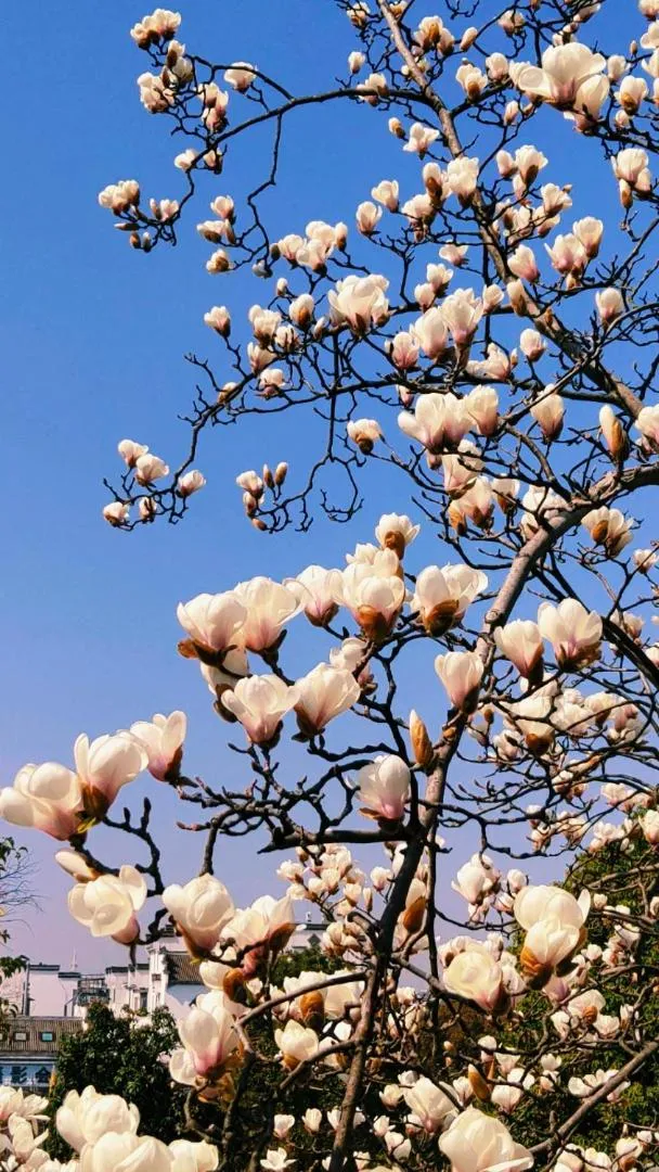 September Huizhou Inn