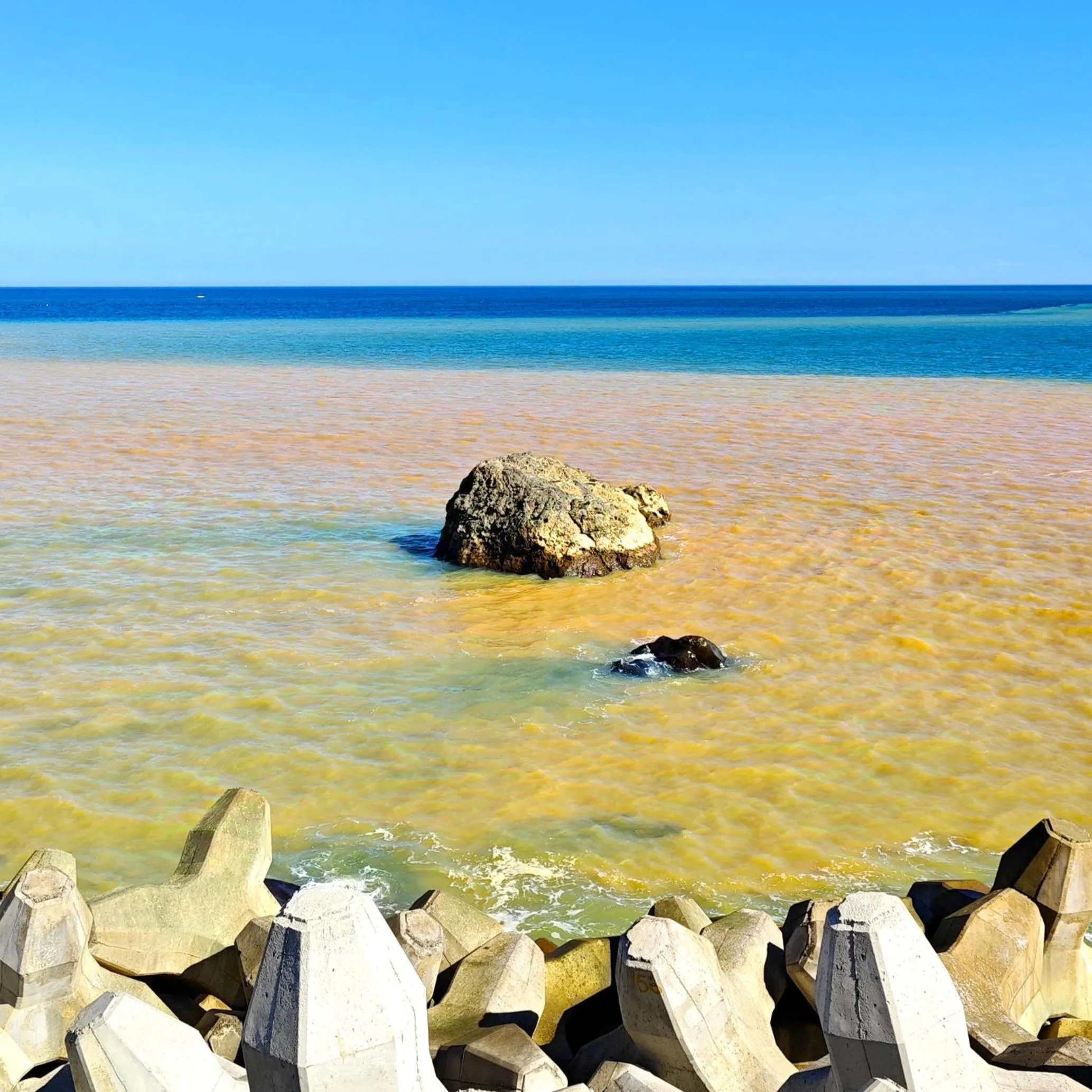 Day in 金石新月光 Gold Stone Crescent Moon Light