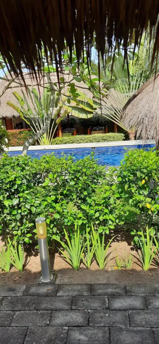 Garden view in Mama Bella's Retreat